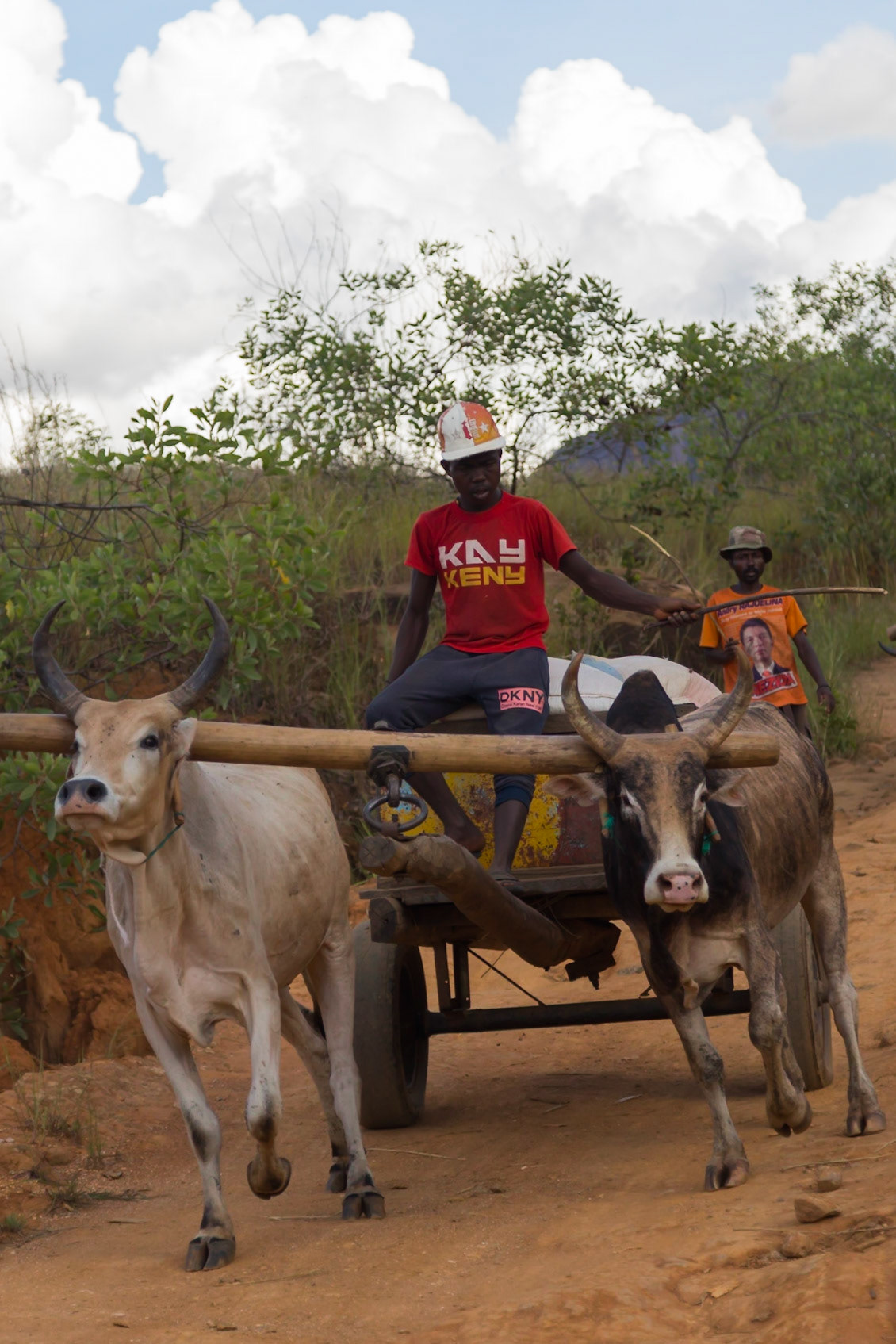 Camp Catta, Haute Matsiatra, Madagascar [Apr 2019]