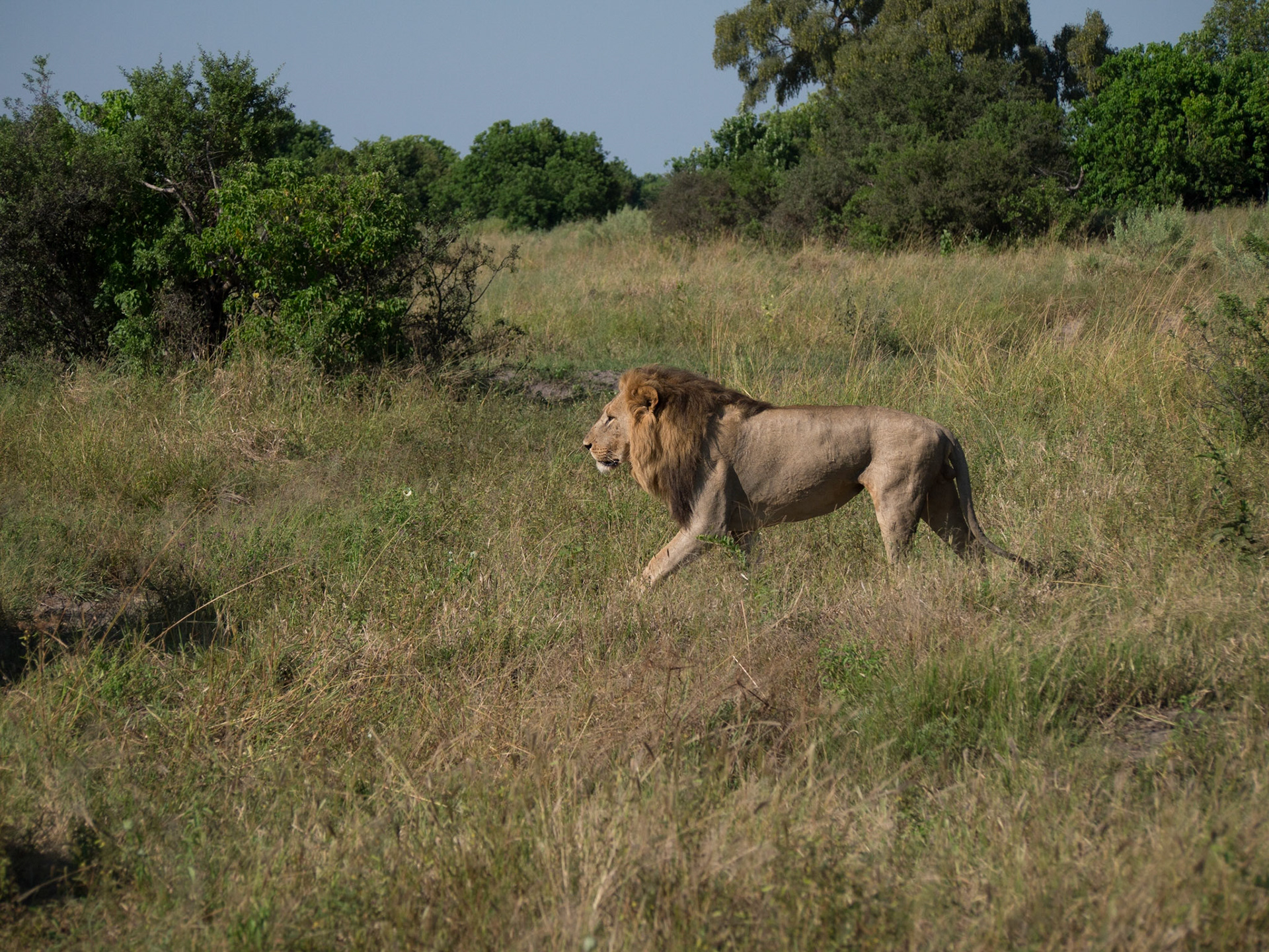, North West, Botswana [Apr 2014]