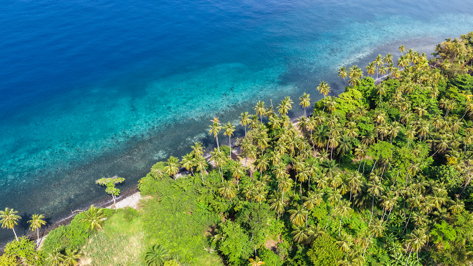 , Lembá, São Tomé and Príncipe [Jan 2026]