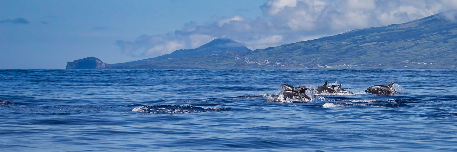 Ilsa de Pico, Azores, Portugal [Aug 2019]