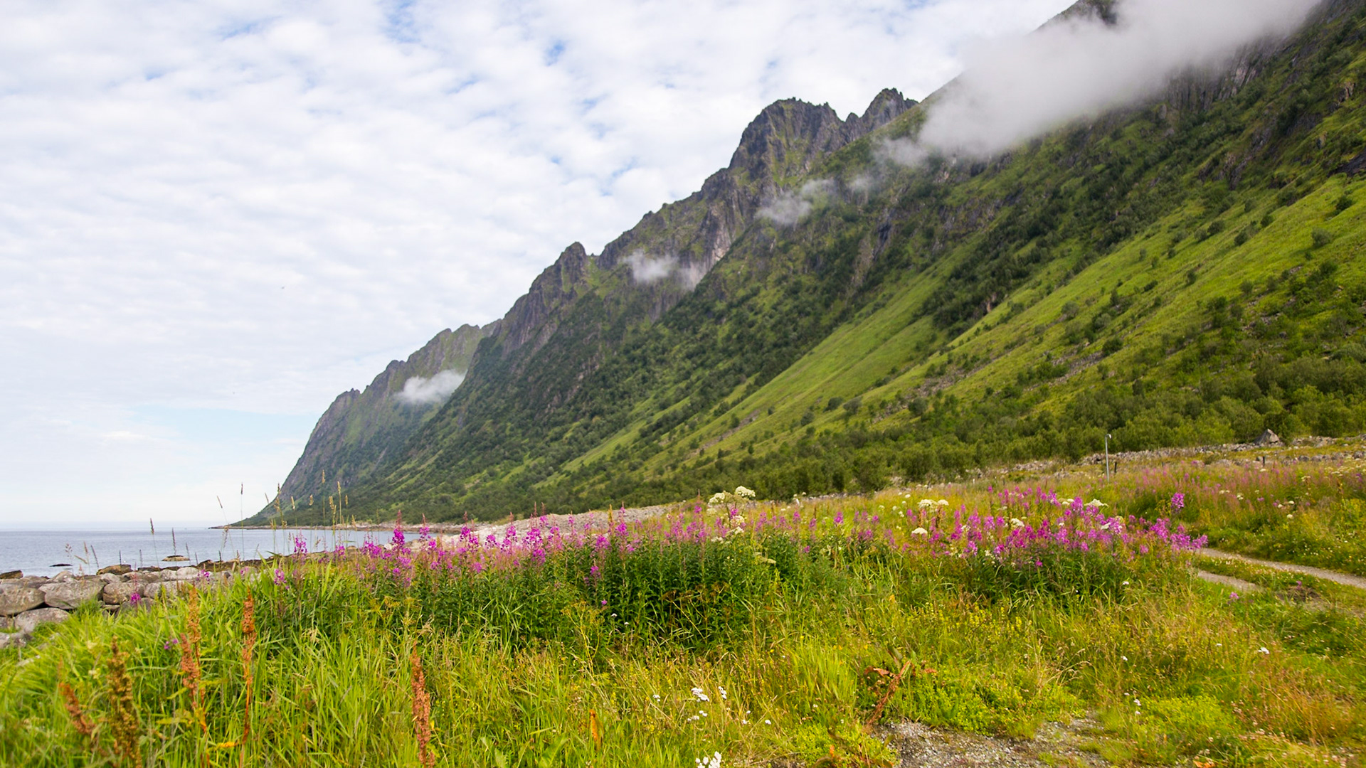 Skaland, Troms, Norway [Aug 2022]