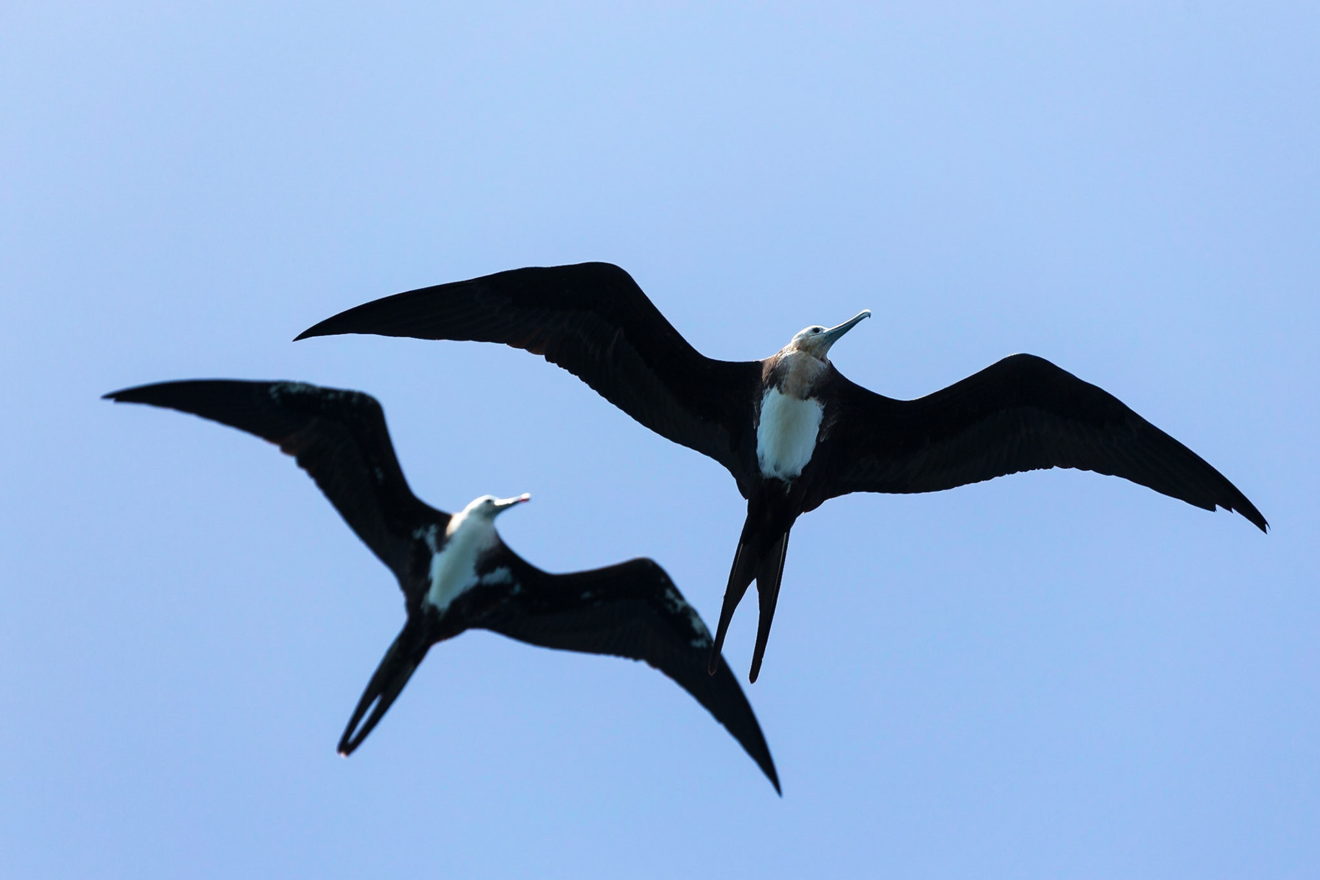 Santa Cruz Canton, Galápagos, Ecuador [Apr 2022]