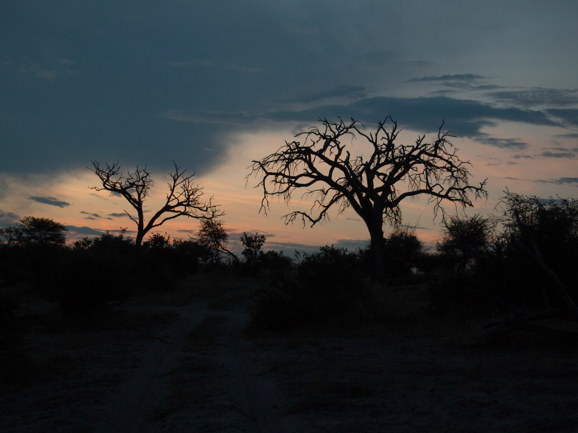 , North West, Botswana [Apr 2014]