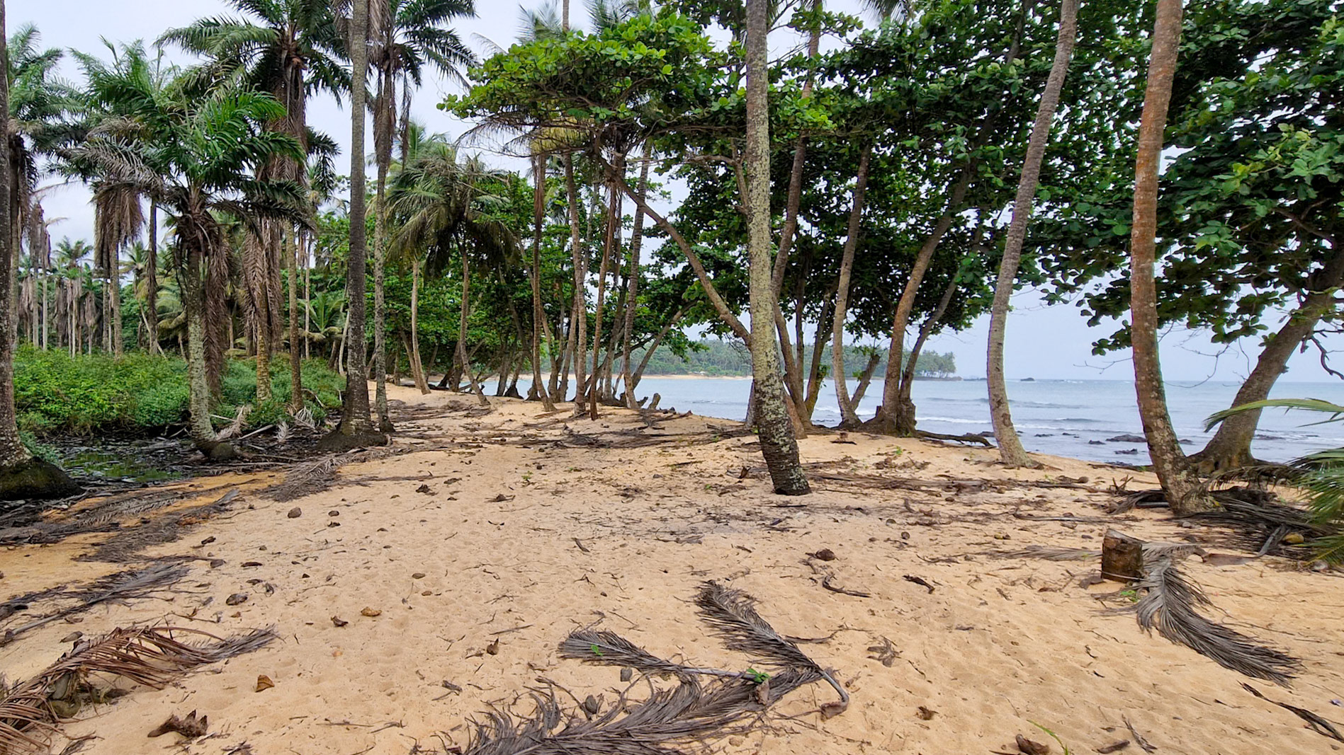 , Caué, São Tomé and Príncipe [Jan 2026]
