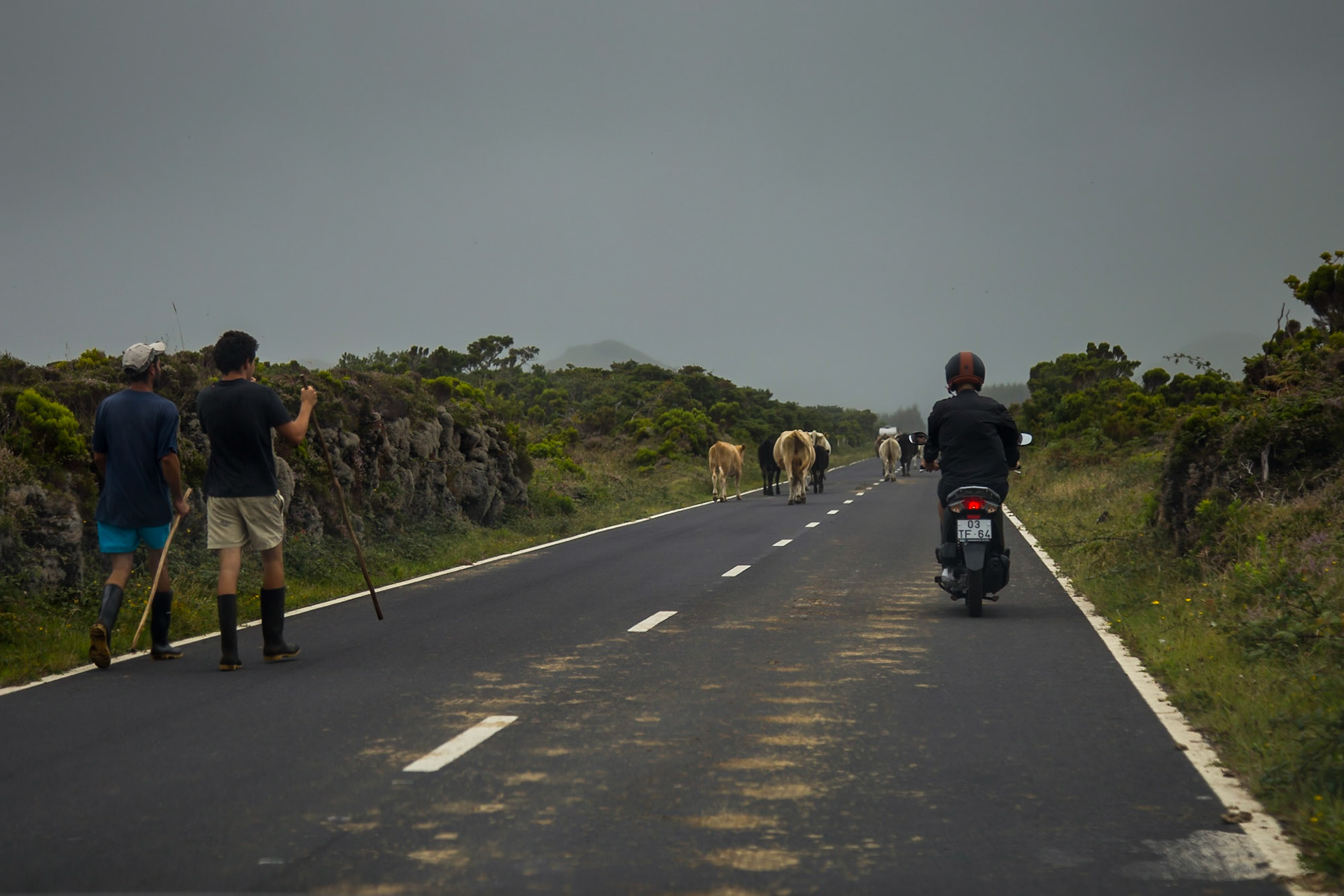 São Roque do Pico, Azores, Portugal [Aug 2019]