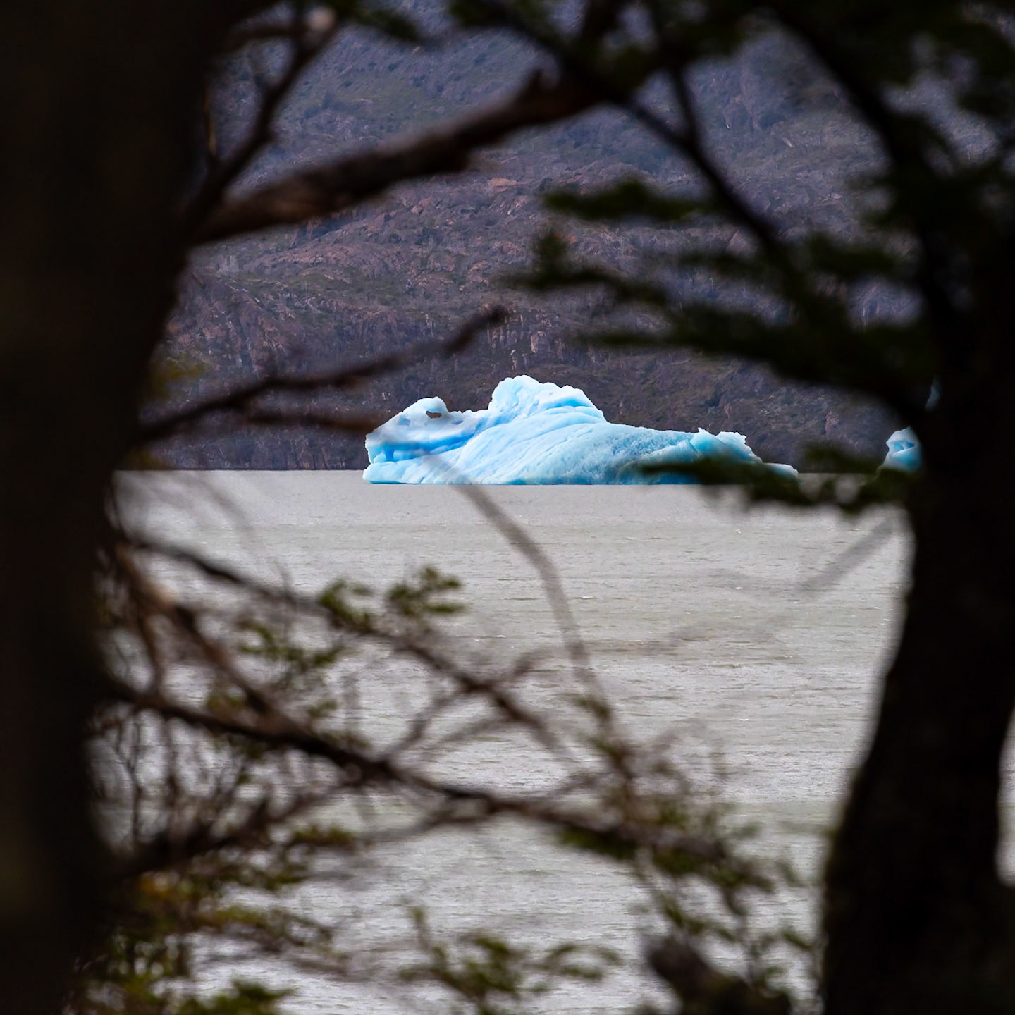 Torres del Paine, Magellan and the Chilean Antarctic, Chile [Jan 2024]