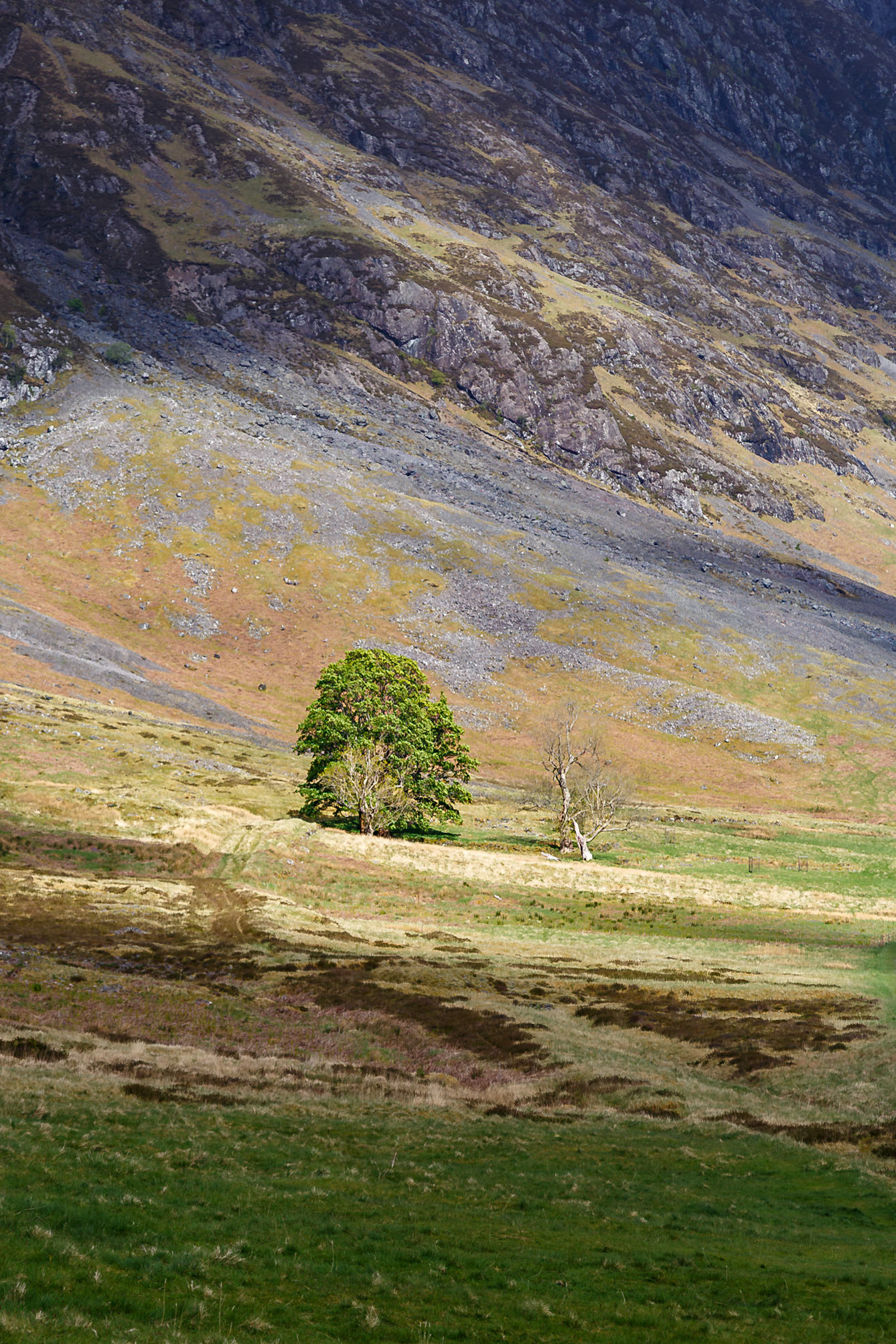 Ballachulish, Scotland, United Kingdom [May 2026]