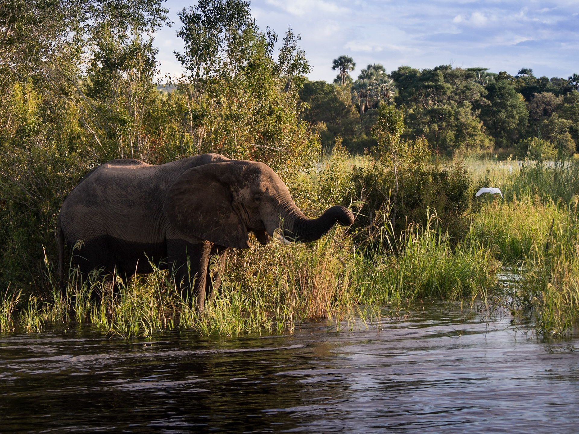 Victoria Falls, Matabeleland North, Zimbabwe [Apr 2014]