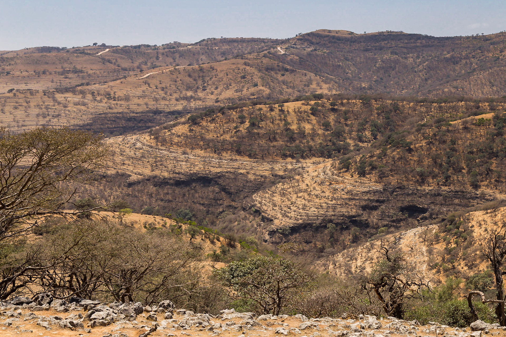 Salalah, Dhofar Governorate, Oman [Mar 2018]