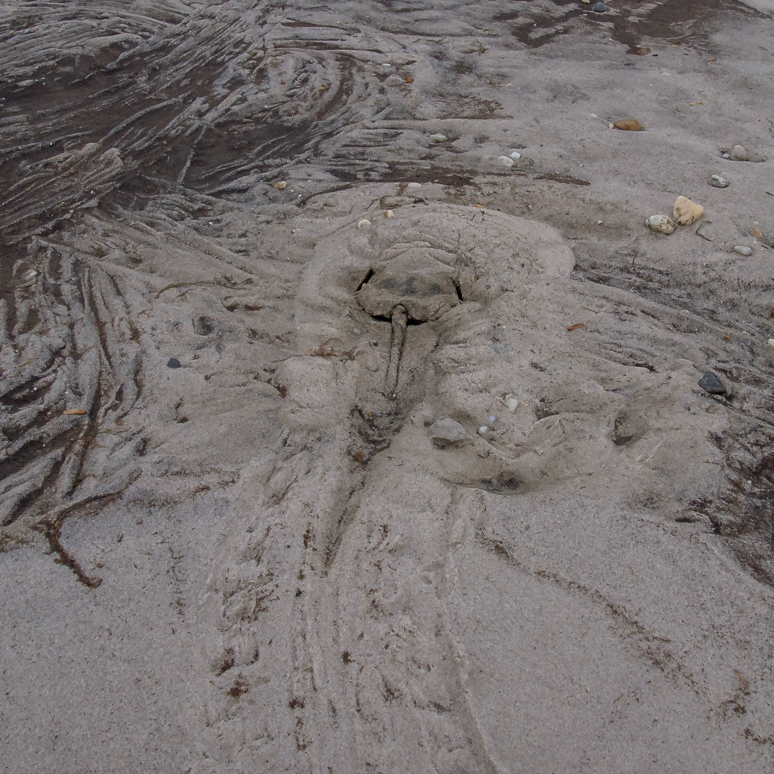 Pickering Beach, Delaware, United States [May 2014]