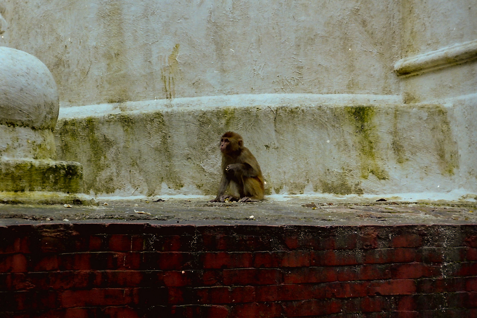Kathmandu, Bagmati, Nepal [Aug 1998]