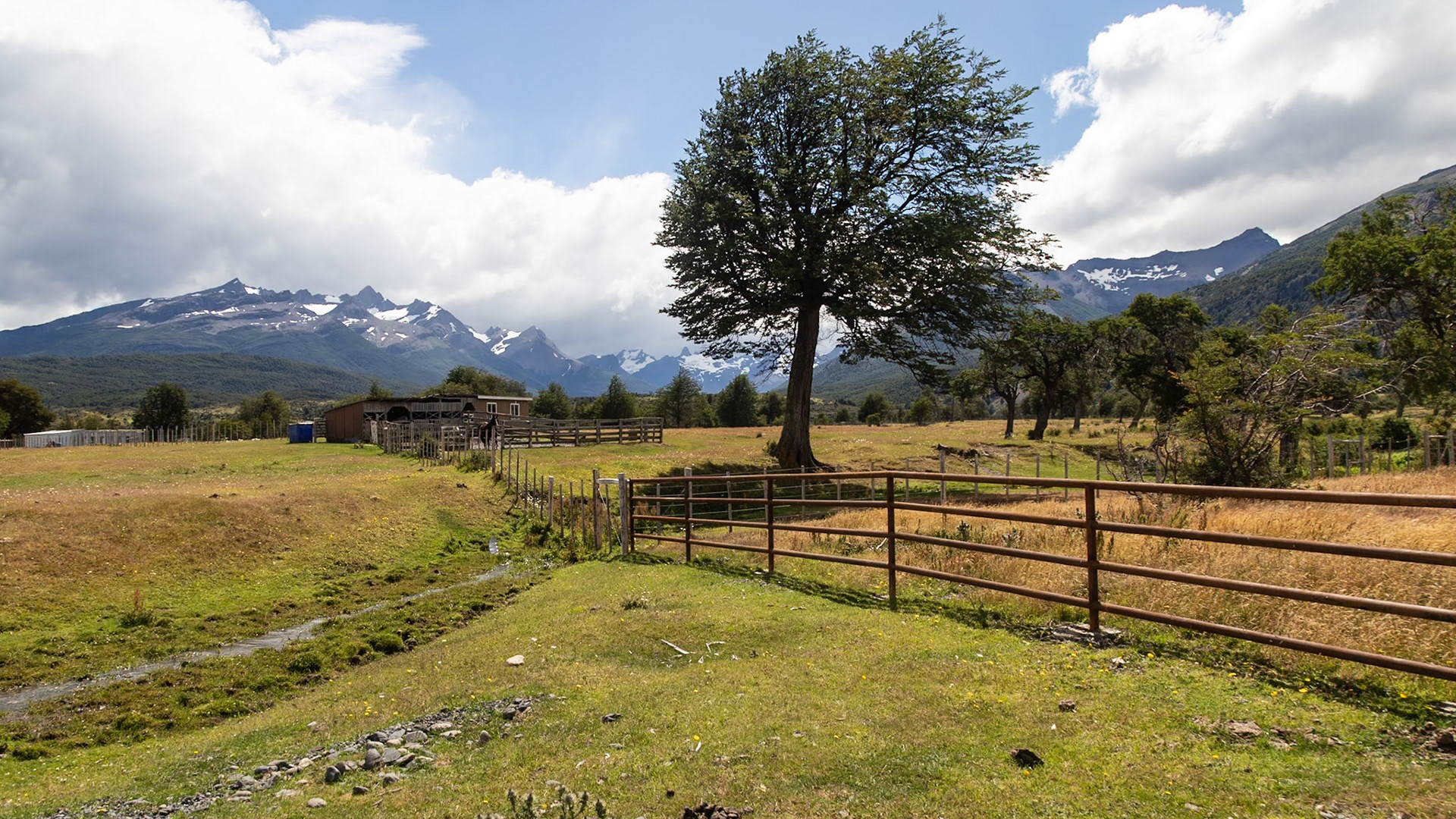 Torres del Paine, Magellan and the Chilean Antarctic, Chile [Jan 2024]