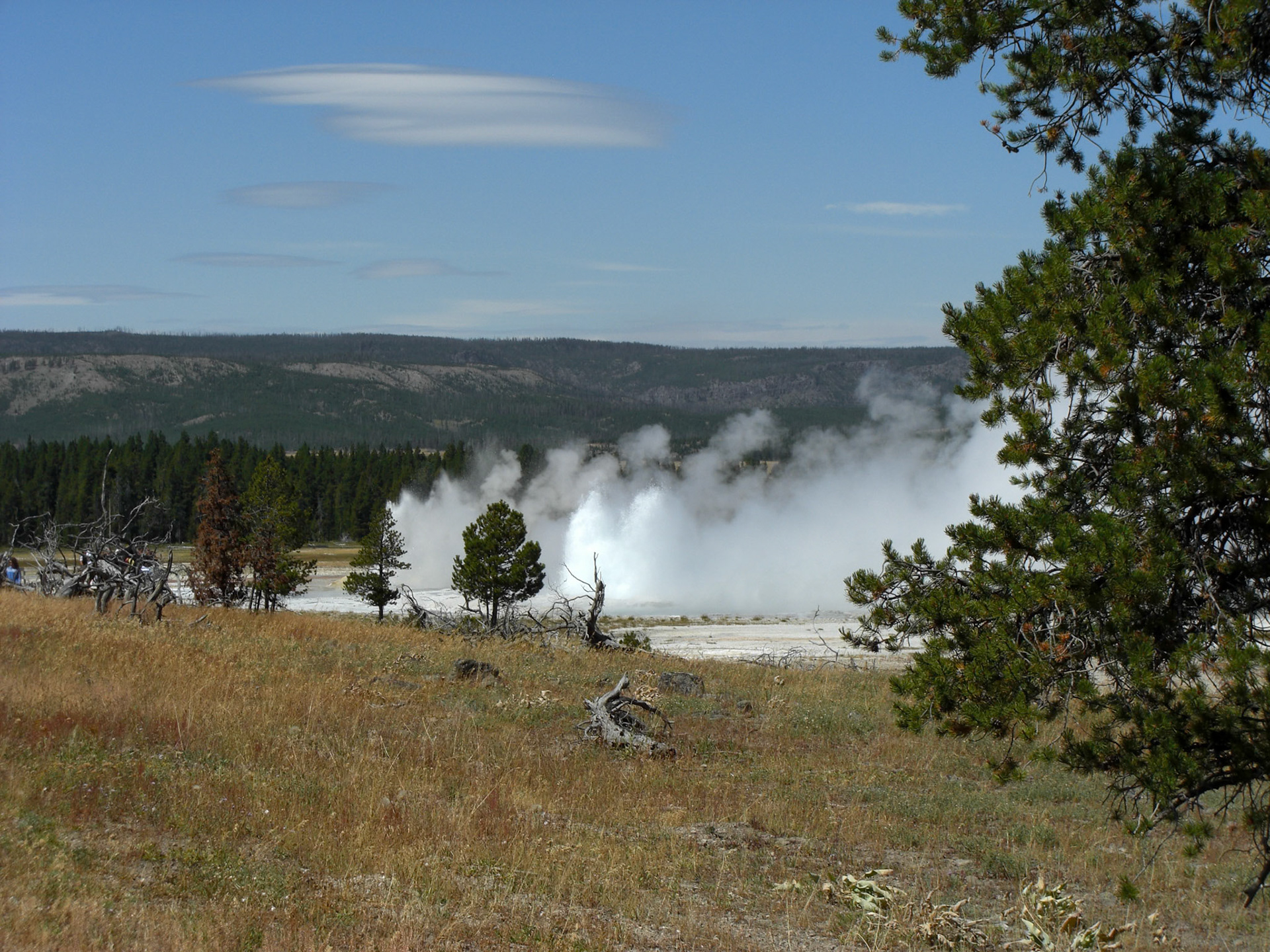 Yellowstone National Park, Wyoming, United States [Aug 2008]