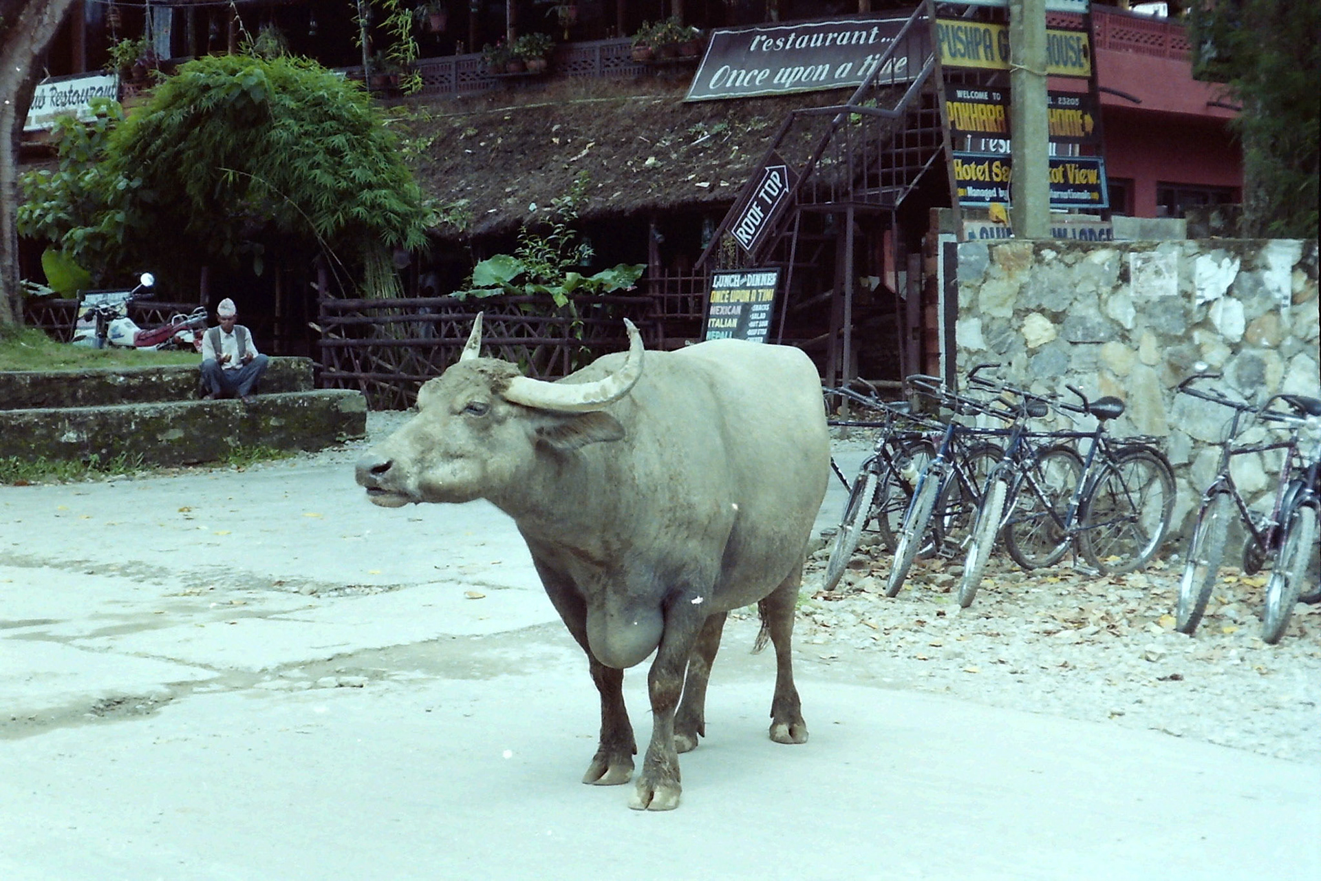 Kotre, Pokhara, Nepal [Jul 1998]