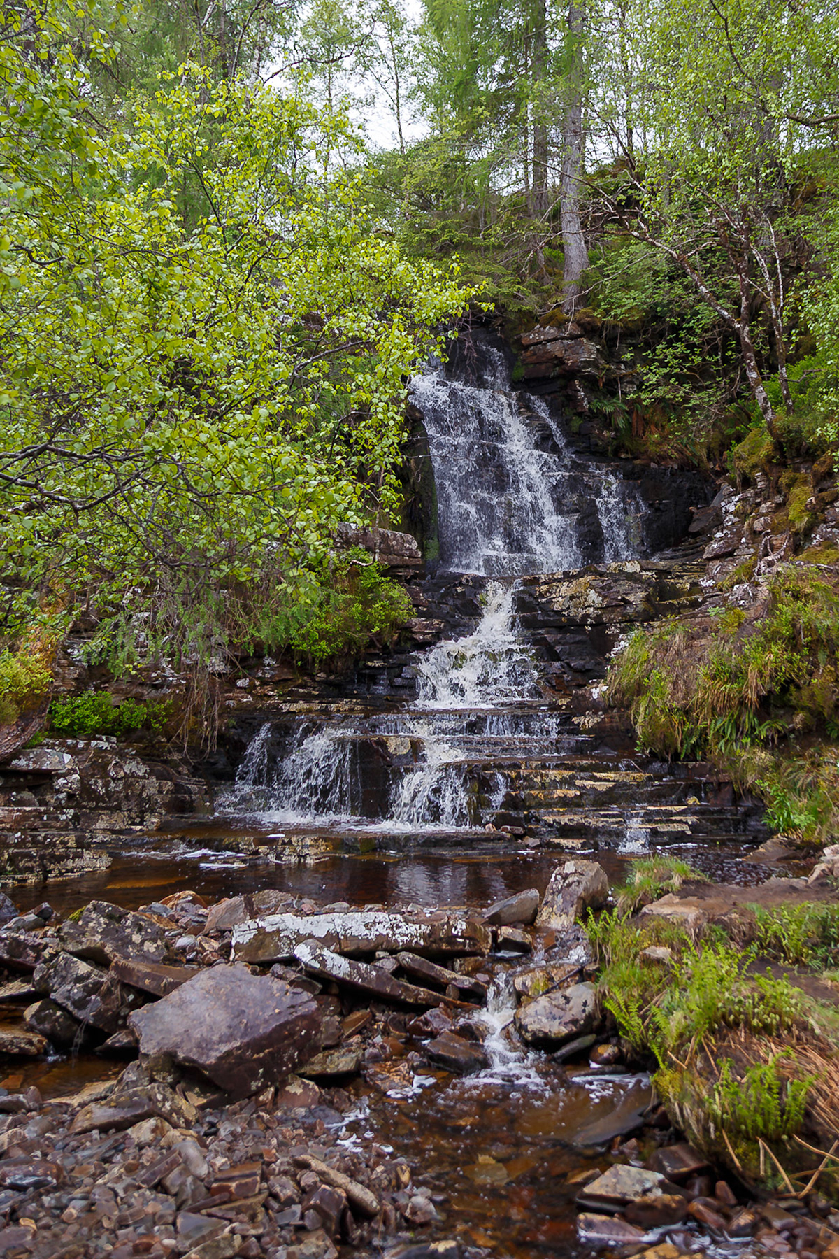 Garve, Scotland, United Kingdom [May 2026]