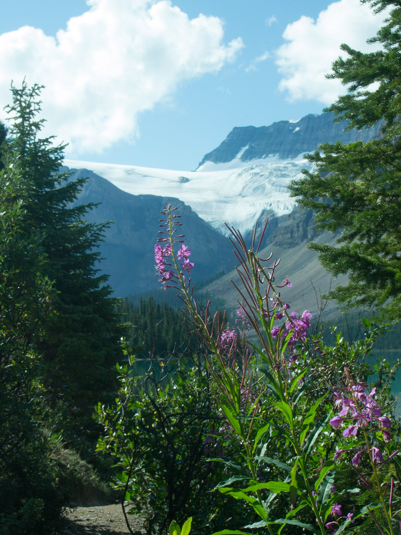 , Alberta, Canada [Aug 2014]