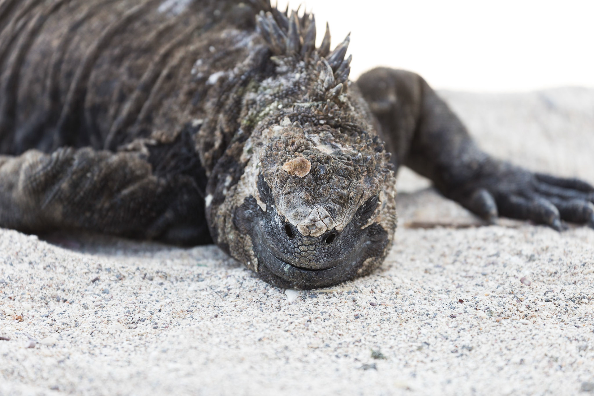 San Cristóbal Canton, Galápagos, Ecuador [Mar 2022]