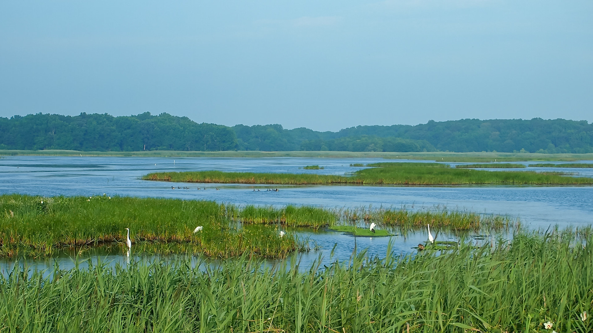 Smyrna, Delaware, United States [Jul 2013]