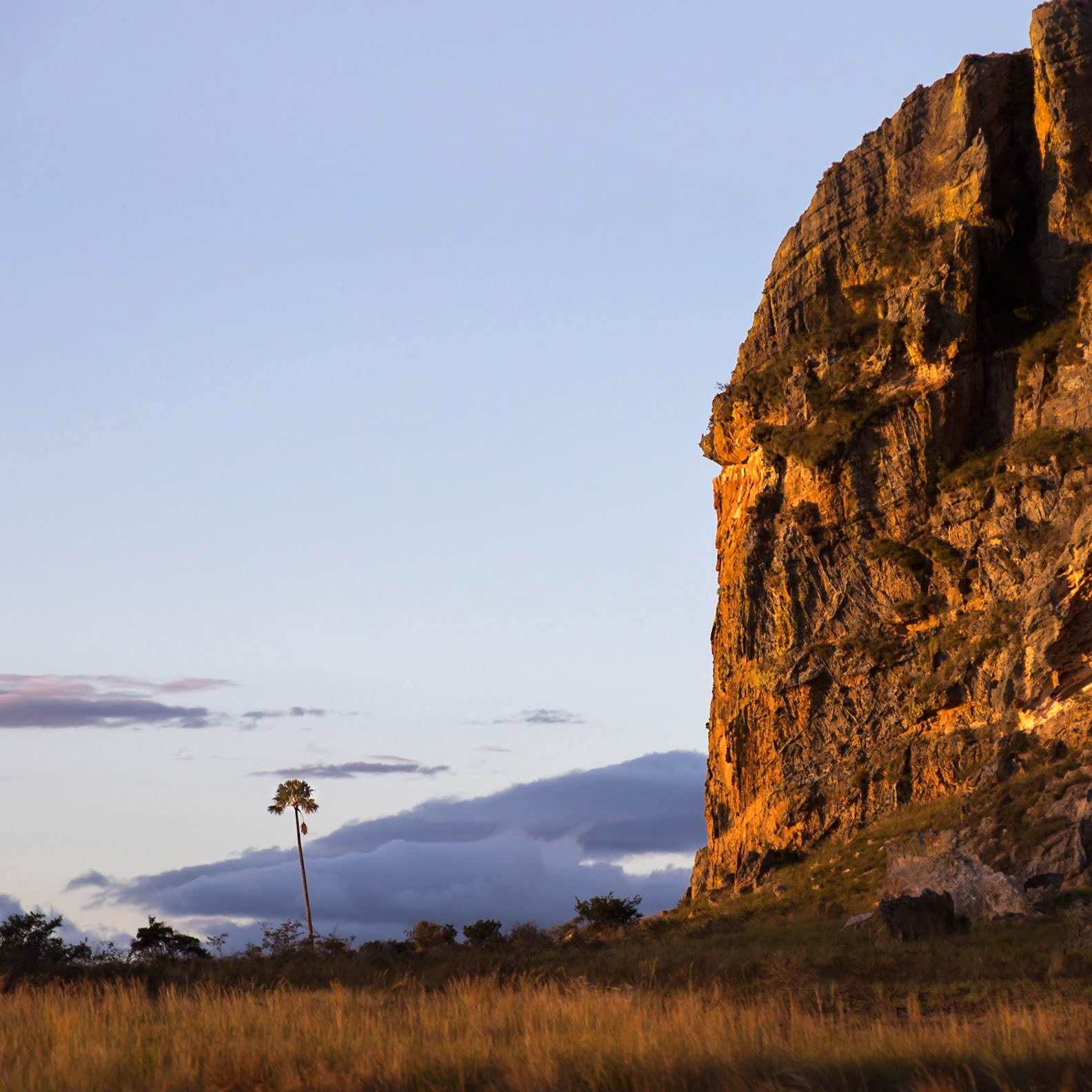 Isalo, Ihorombe, Madagascar [Apr 2019]