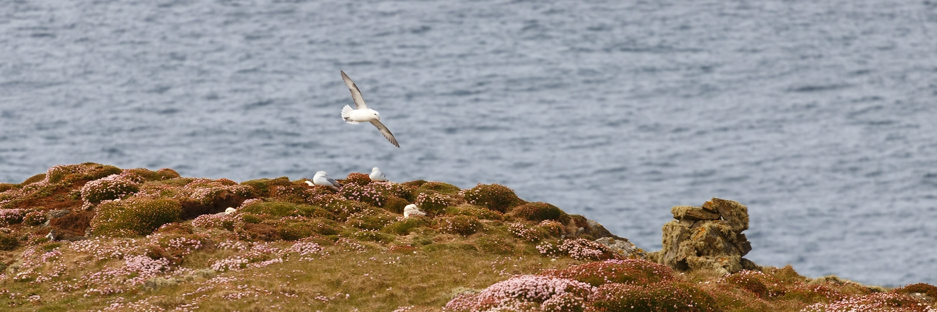 Isle of Lewis, Scotland, United Kingdom [May 2026]