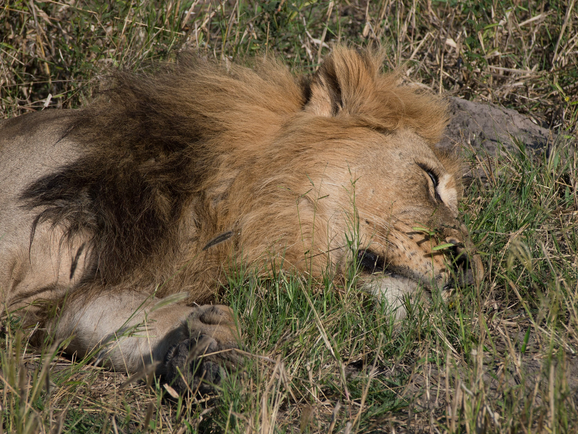 , North West, Botswana [Apr 2014]