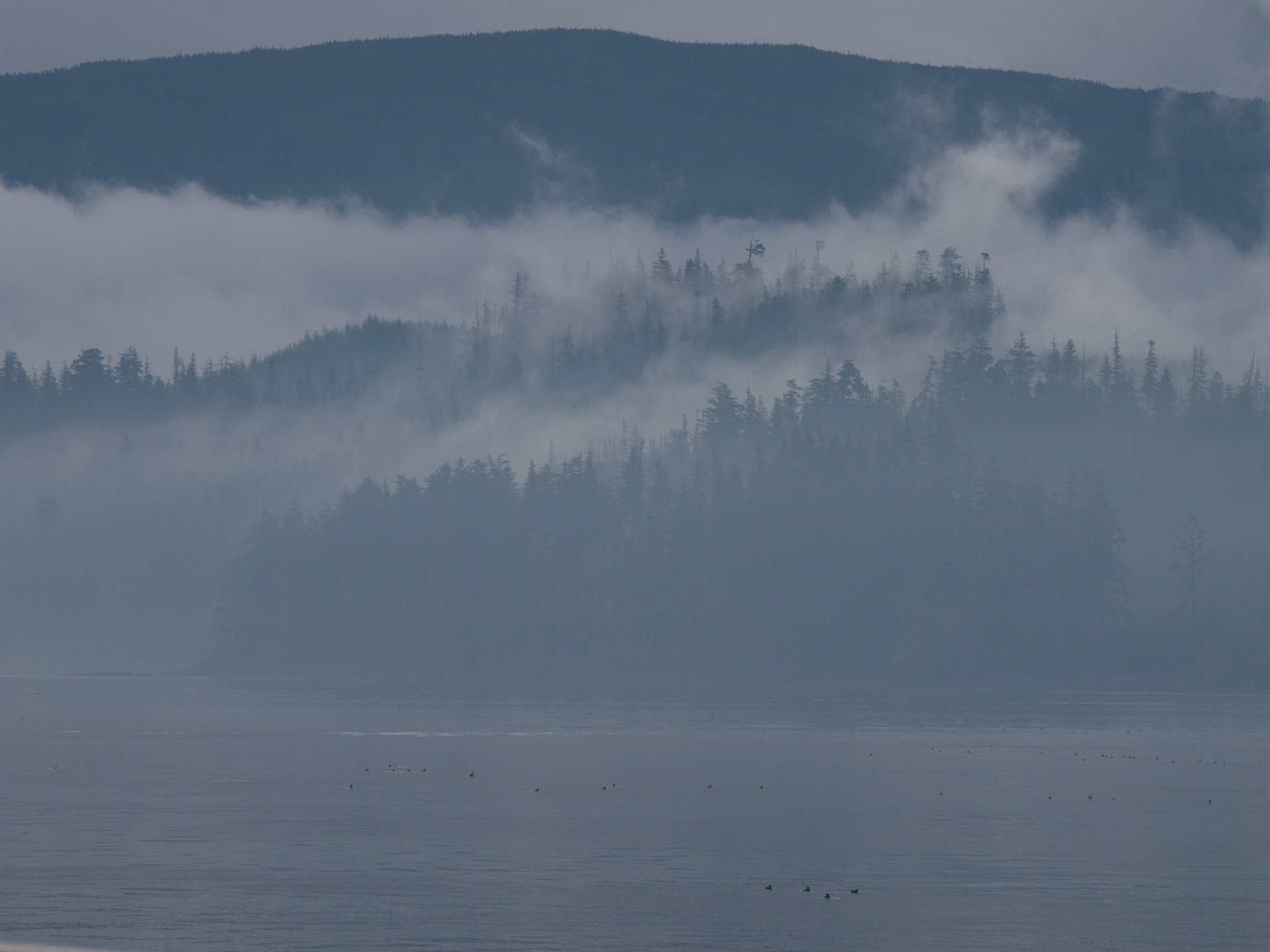 Alert Bay, British Columbia, Canada [Aug 2014]