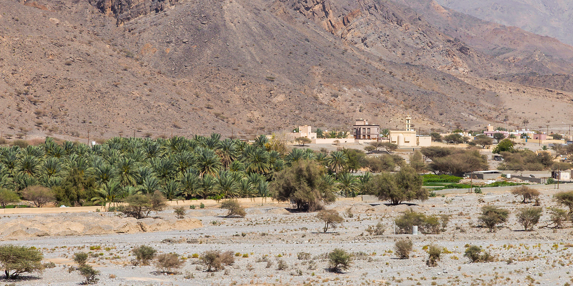Ghubrah, Al Batinah South Governorate, Oman [Mar 2018]