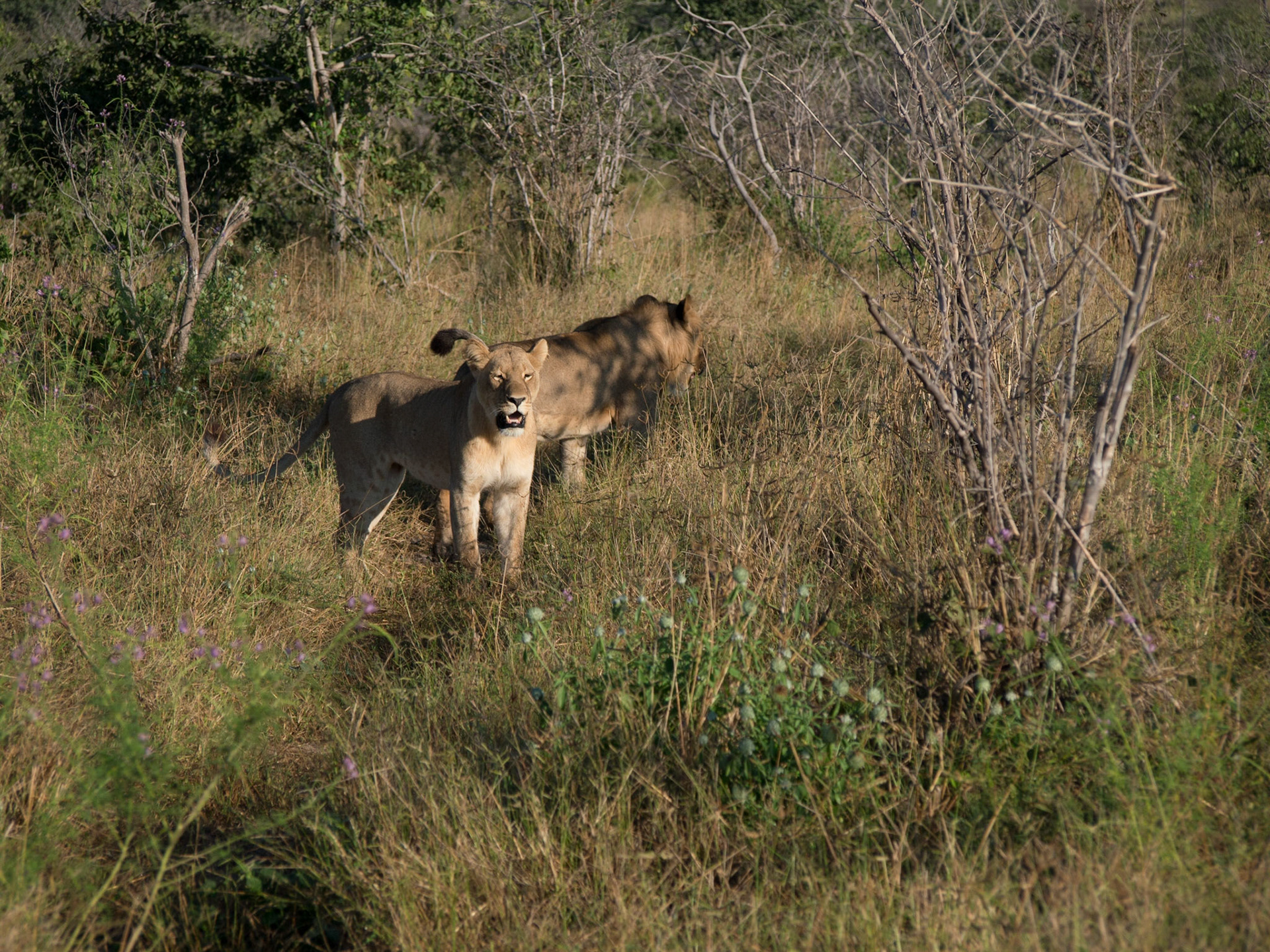 , North West, Botswana [Apr 2014]