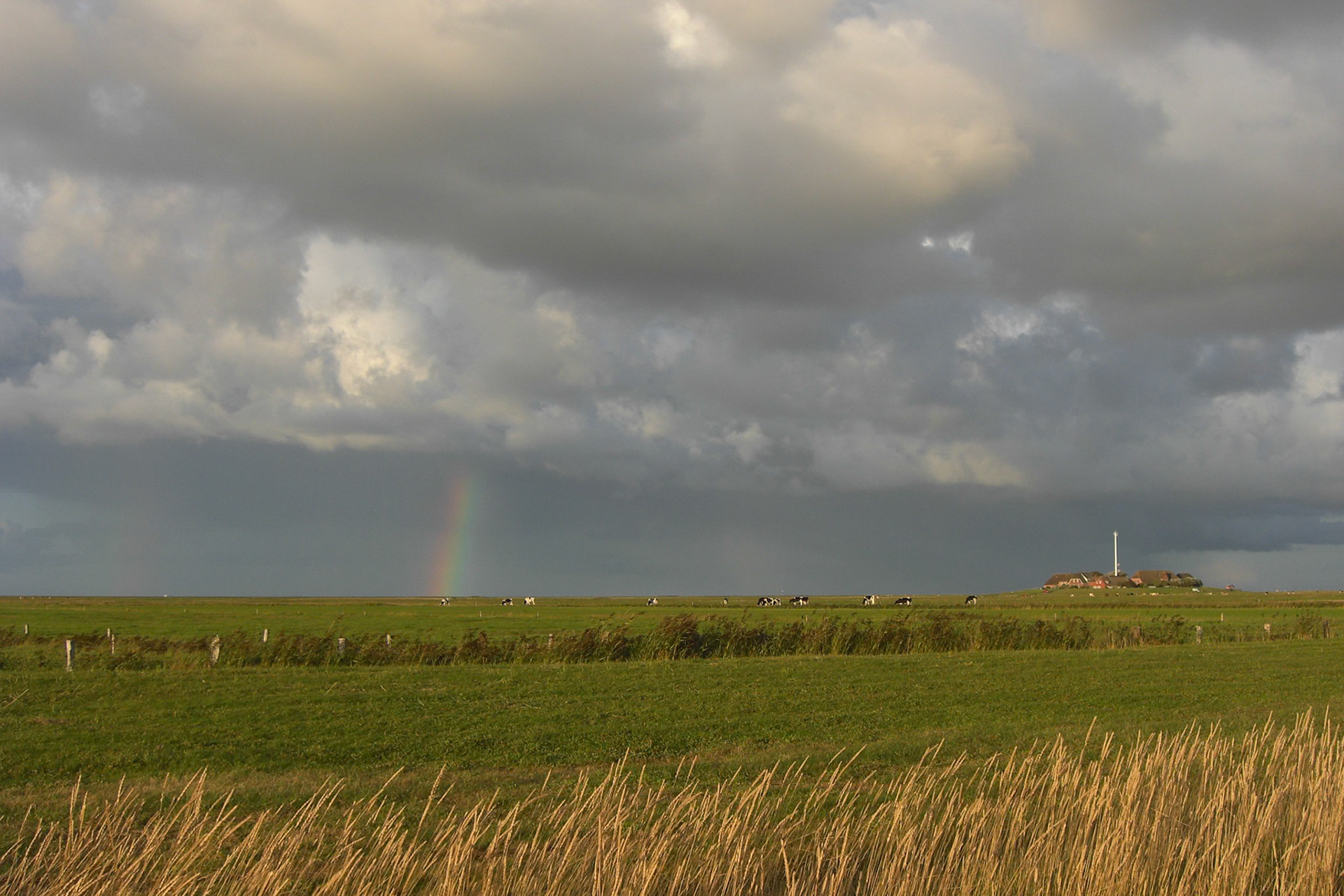 Hallig Hooge, Schleswig-Holstein, Germany [Aug 2010]