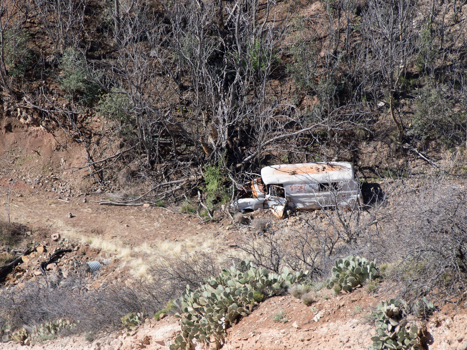 Jerome, Arizona, United States [Mar 2014]