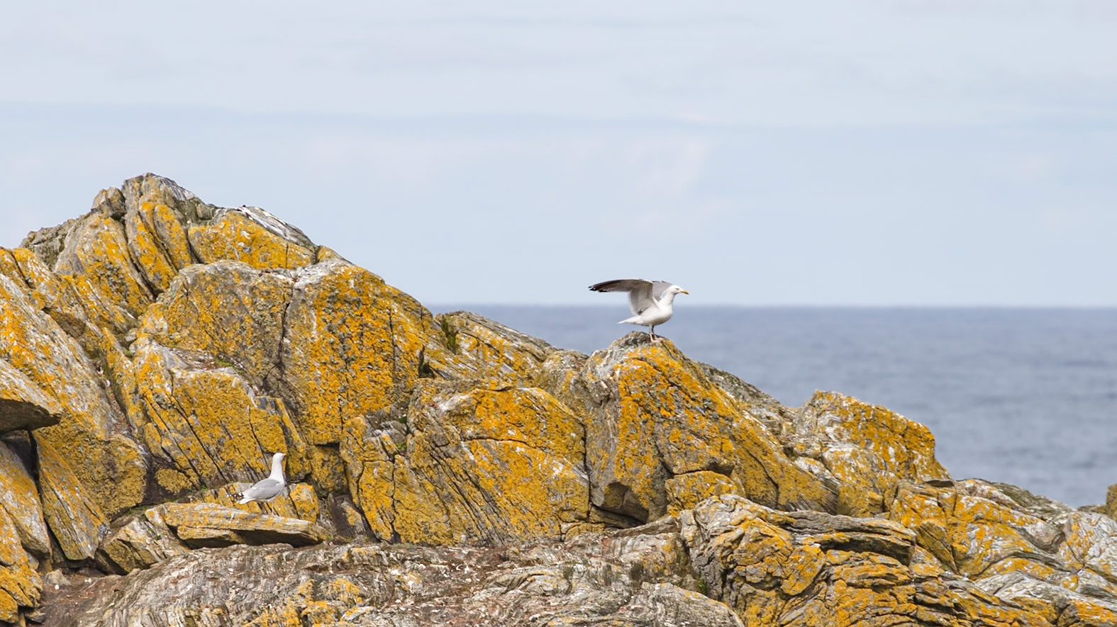 Isle of Lewis, Scotland, United Kingdom [May 2026]