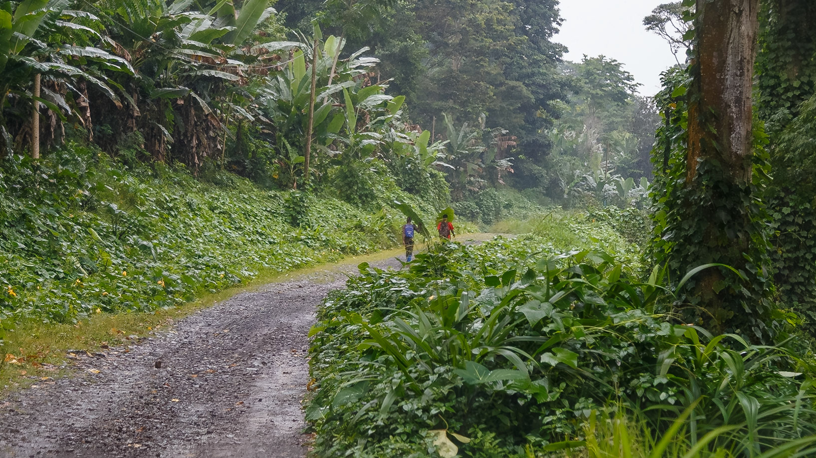 , Mé-Zóchi, São Tomé and Príncipe [Jan 2026]