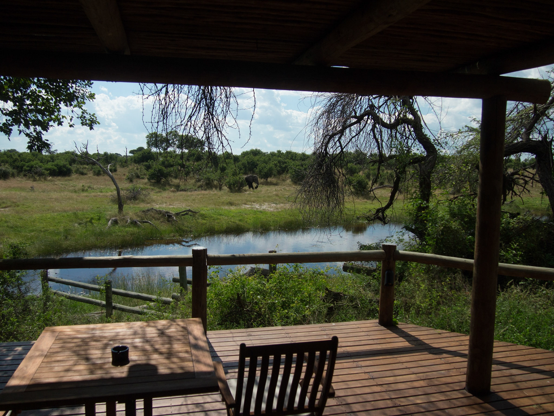 Kachikau, Chobe, Botswana [Apr 2014]