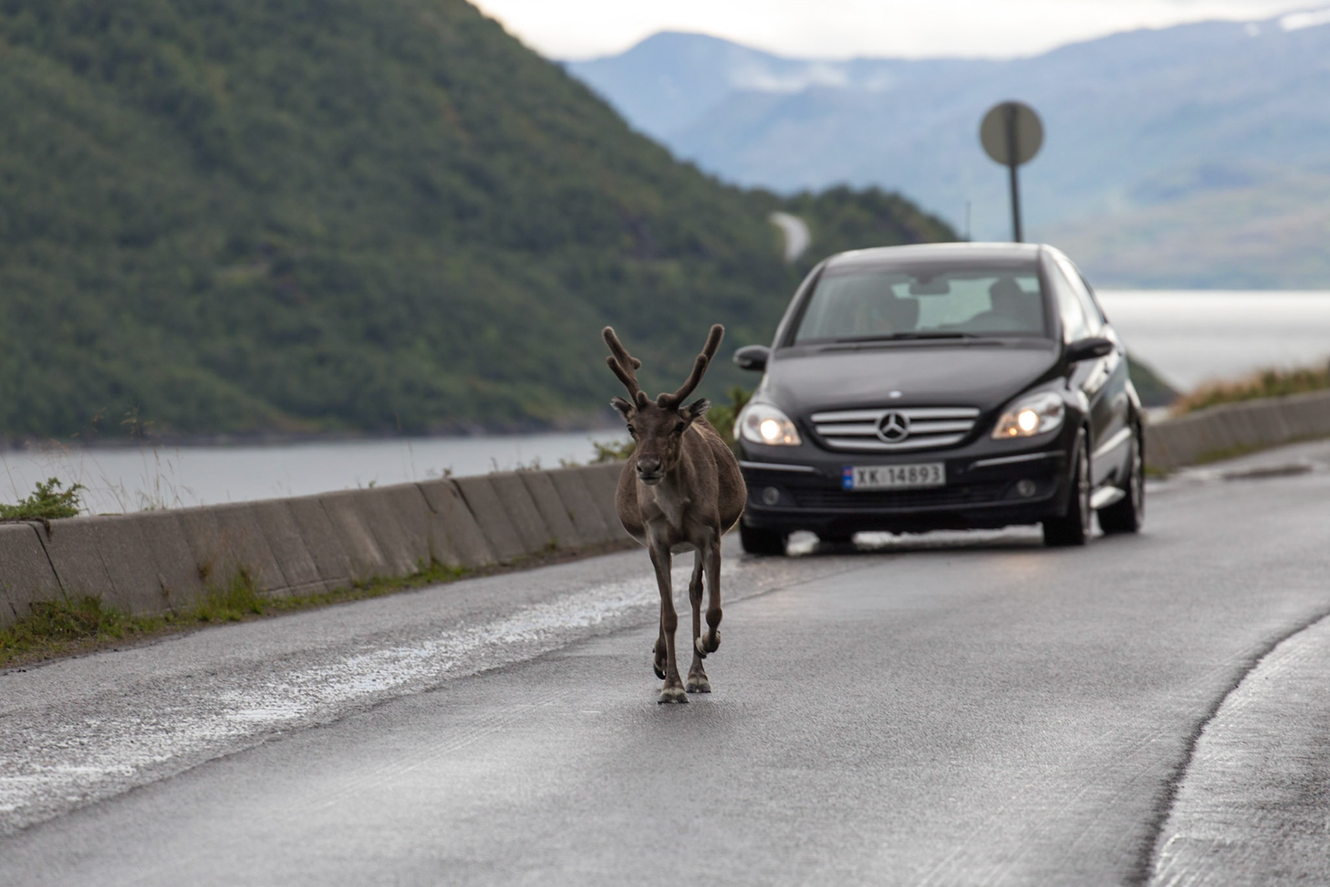 Kvalsund, Finnmark, Norway [Aug 2022]
