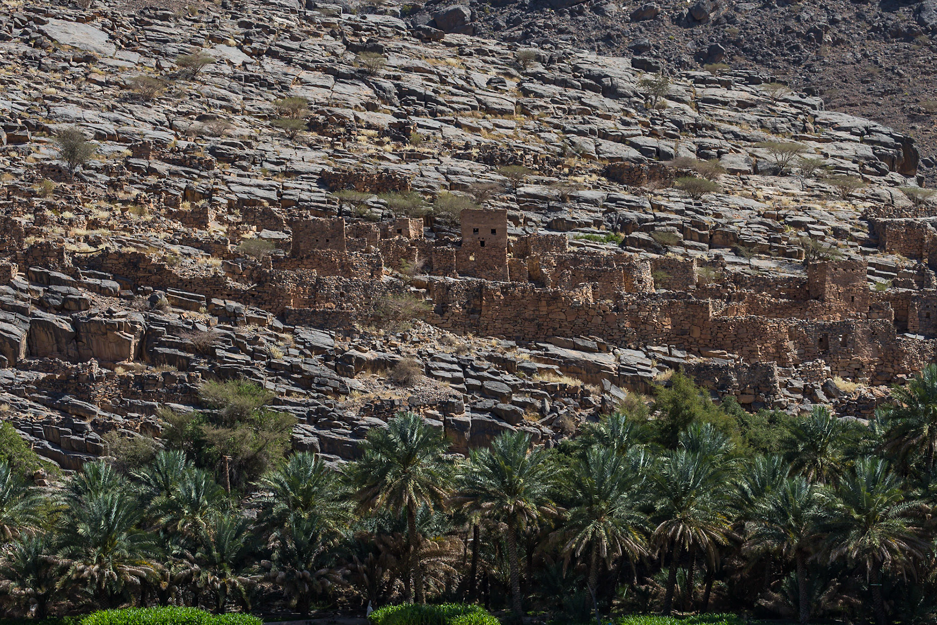 Al Hamra, Ad Dakhiliyah Governorate, Oman [Mar 2018]