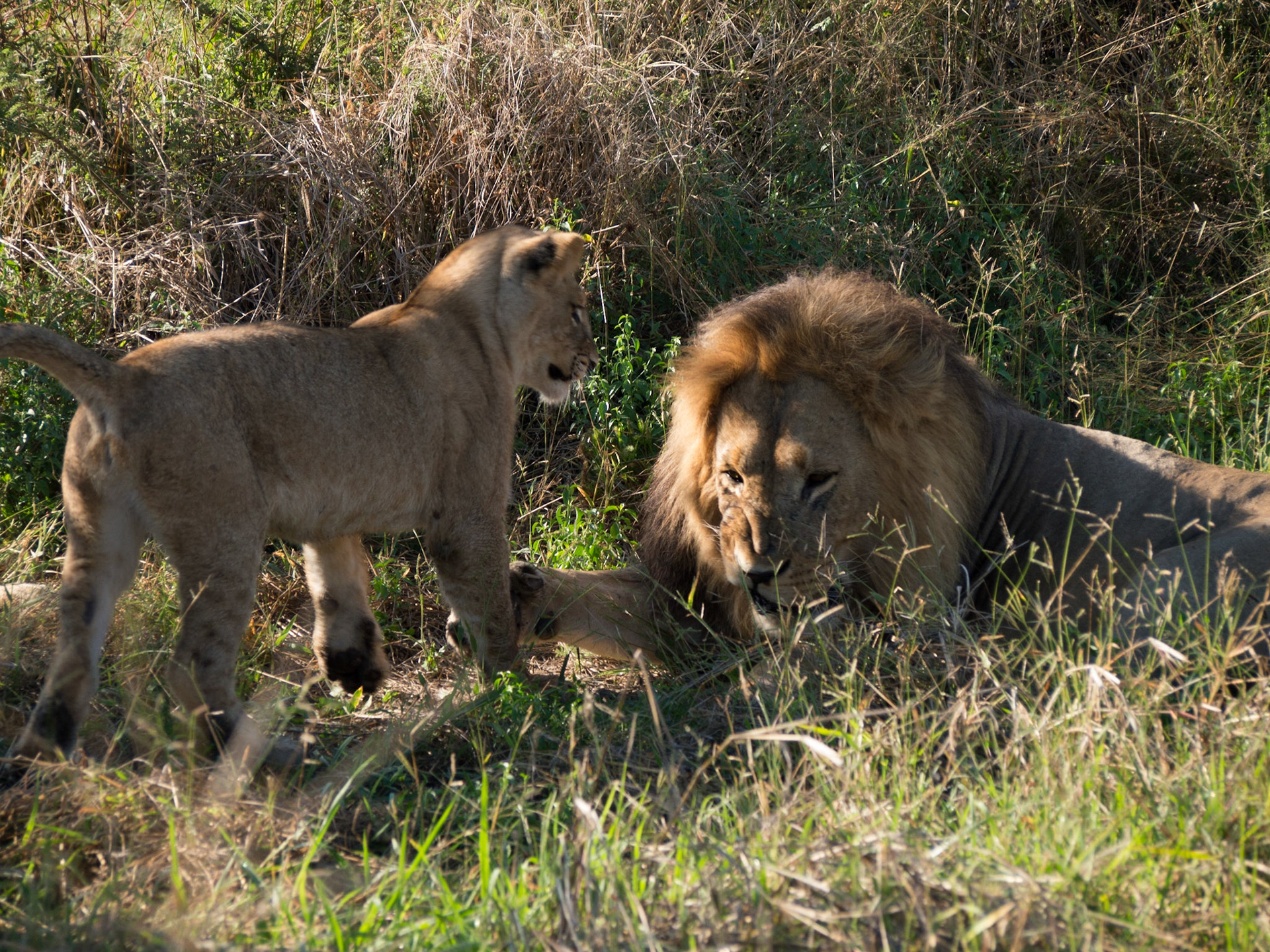 , North West, Botswana [Apr 2014]
