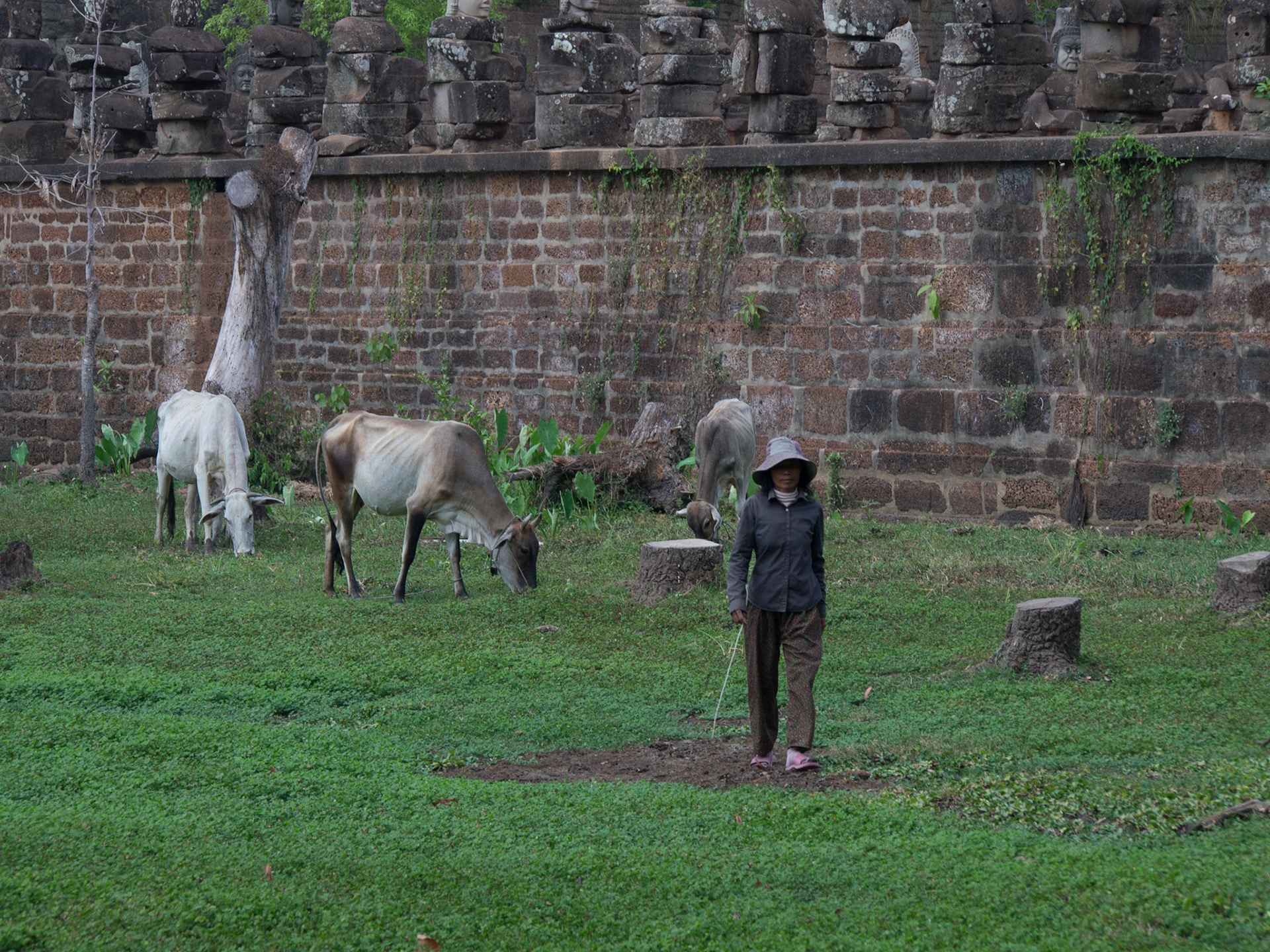 Angkor, Siem Reap, Cambodia [Apr 2015]