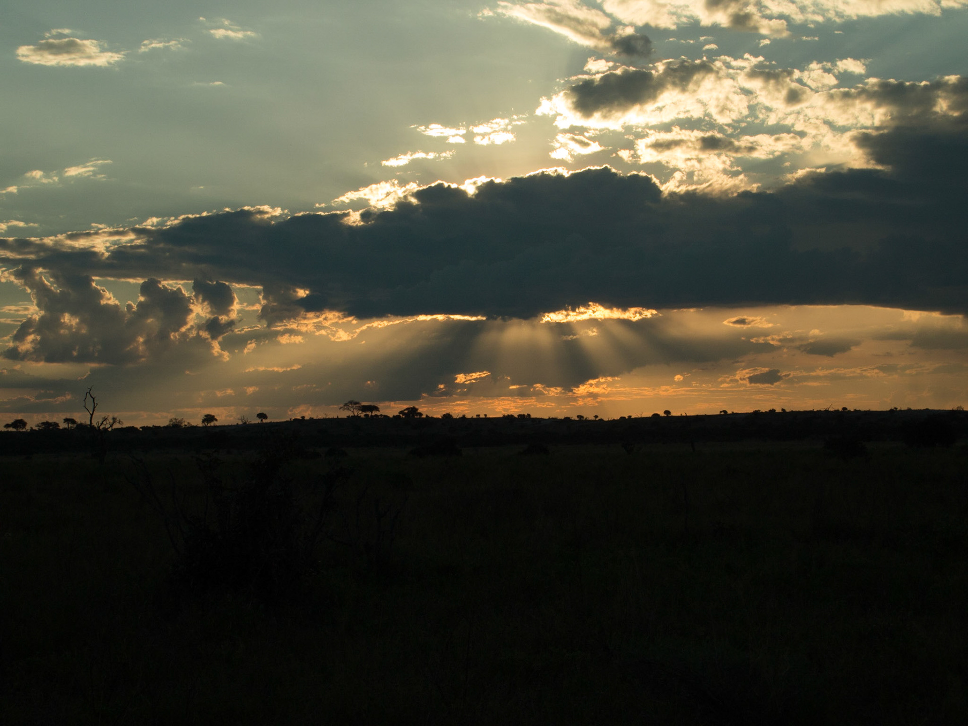 , North West, Botswana [Apr 2014]