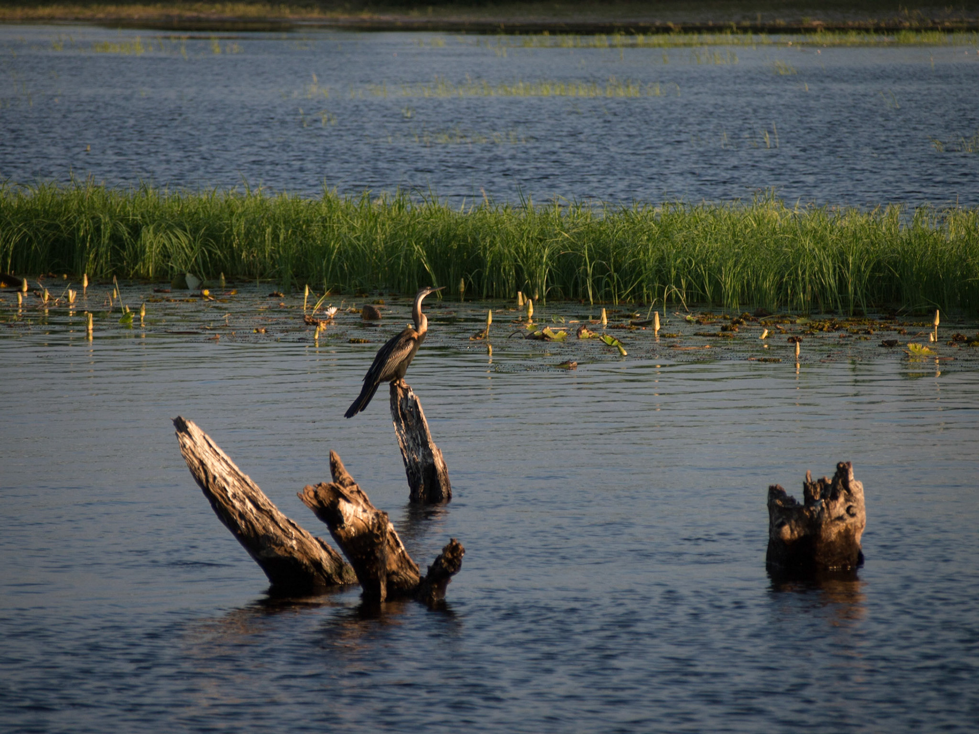 , North West, Botswana [Apr 2014]