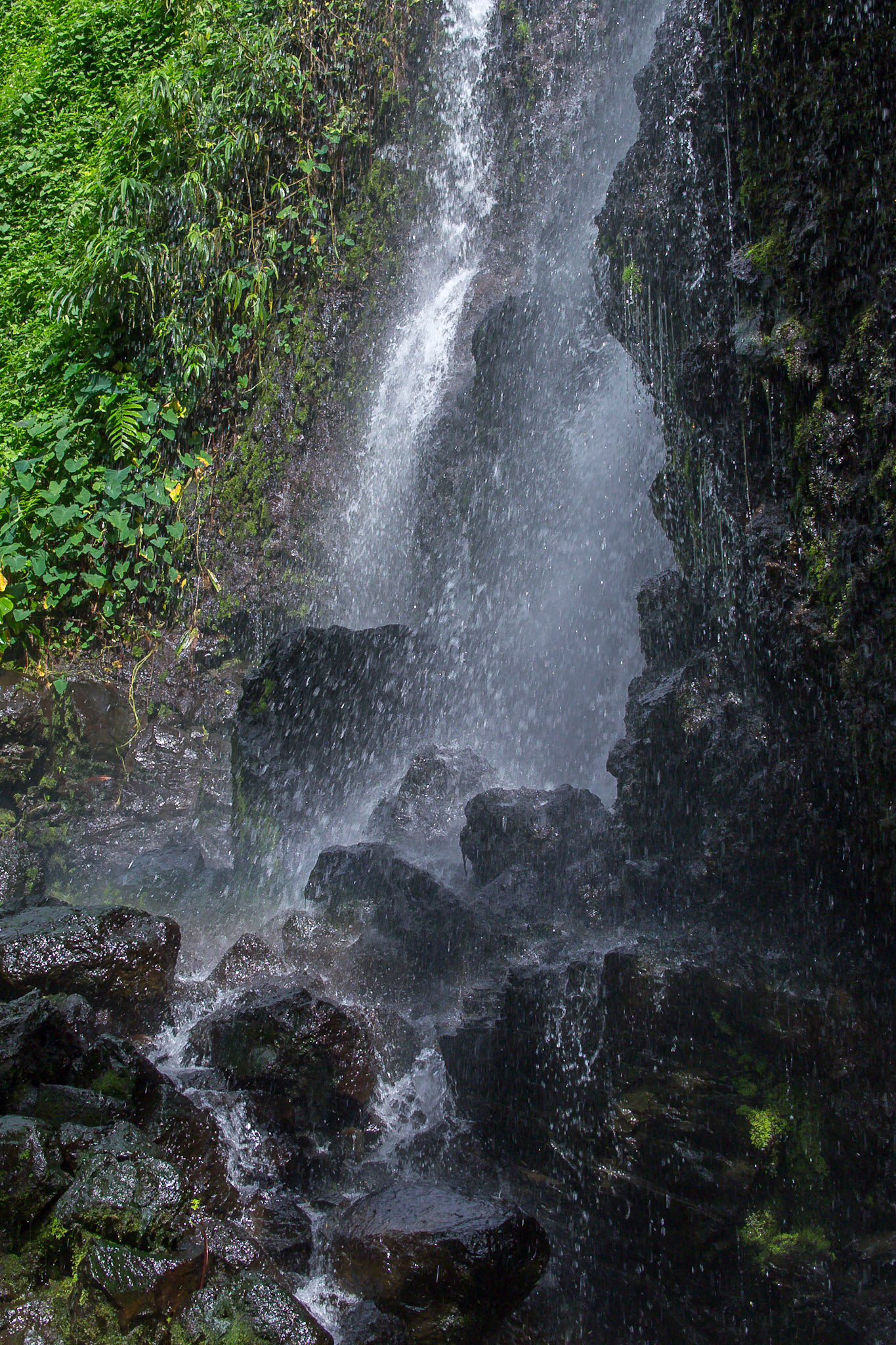 L'Anse des Cascades, Saint-Benoit, Réunion [Apr 2017]