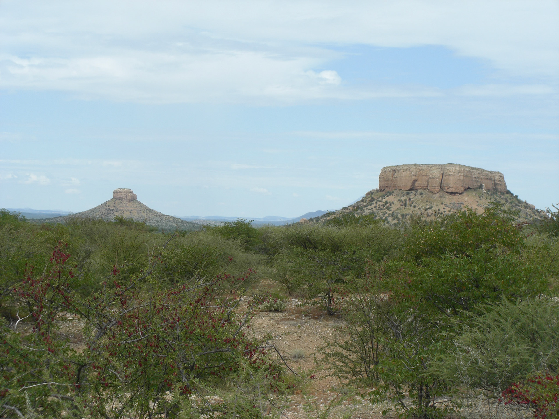 , Kunene Region, Namibia [Mar 2010]