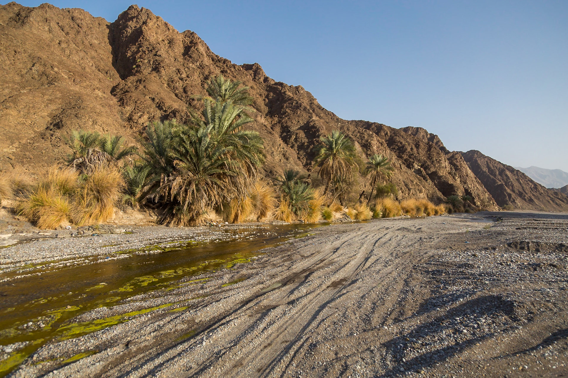 Al Awabi, Al Batinah South Governorate, Oman [Mar 2018]