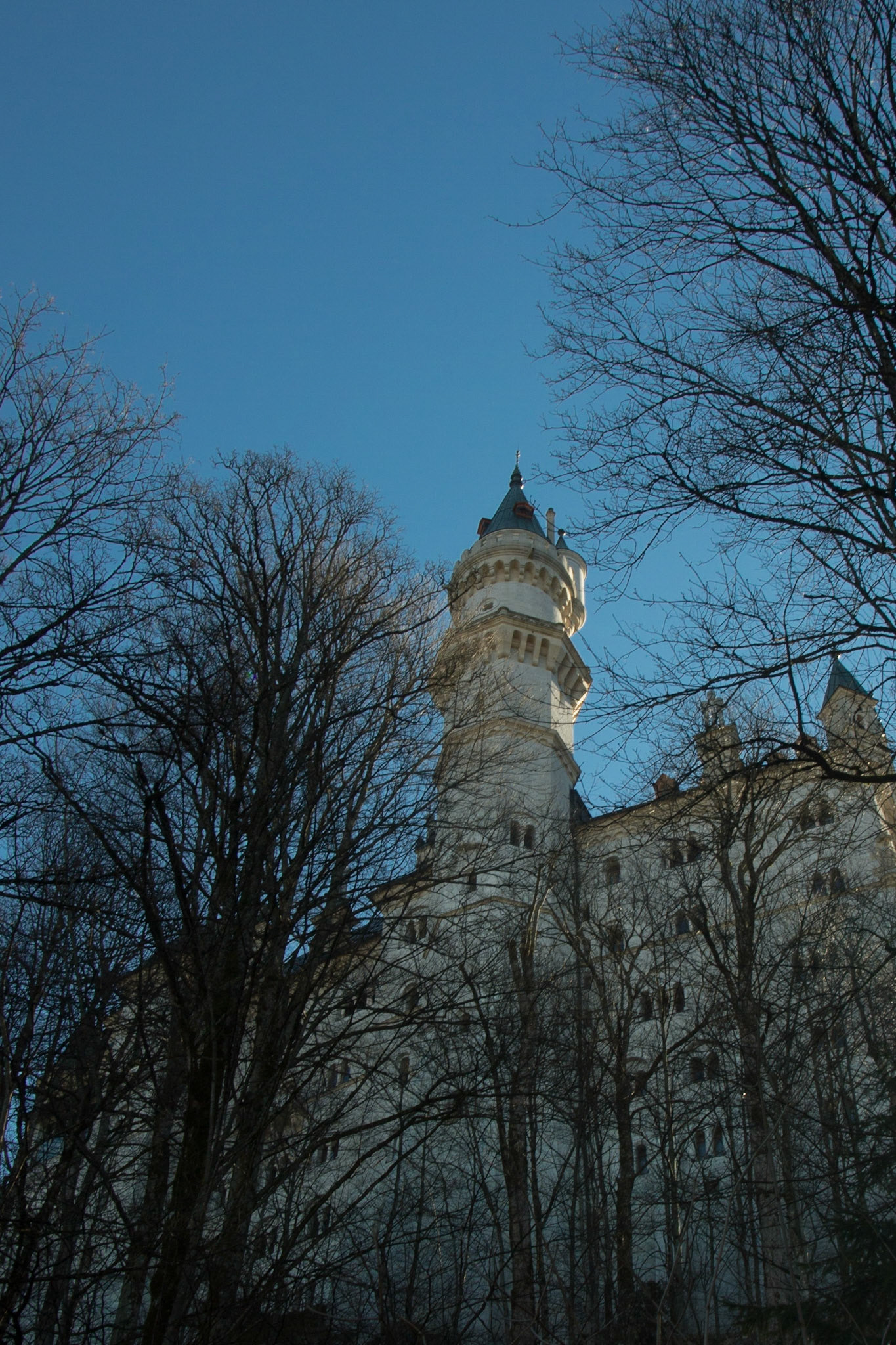 Schwangau, Bavaria, Germany [Feb 2014]