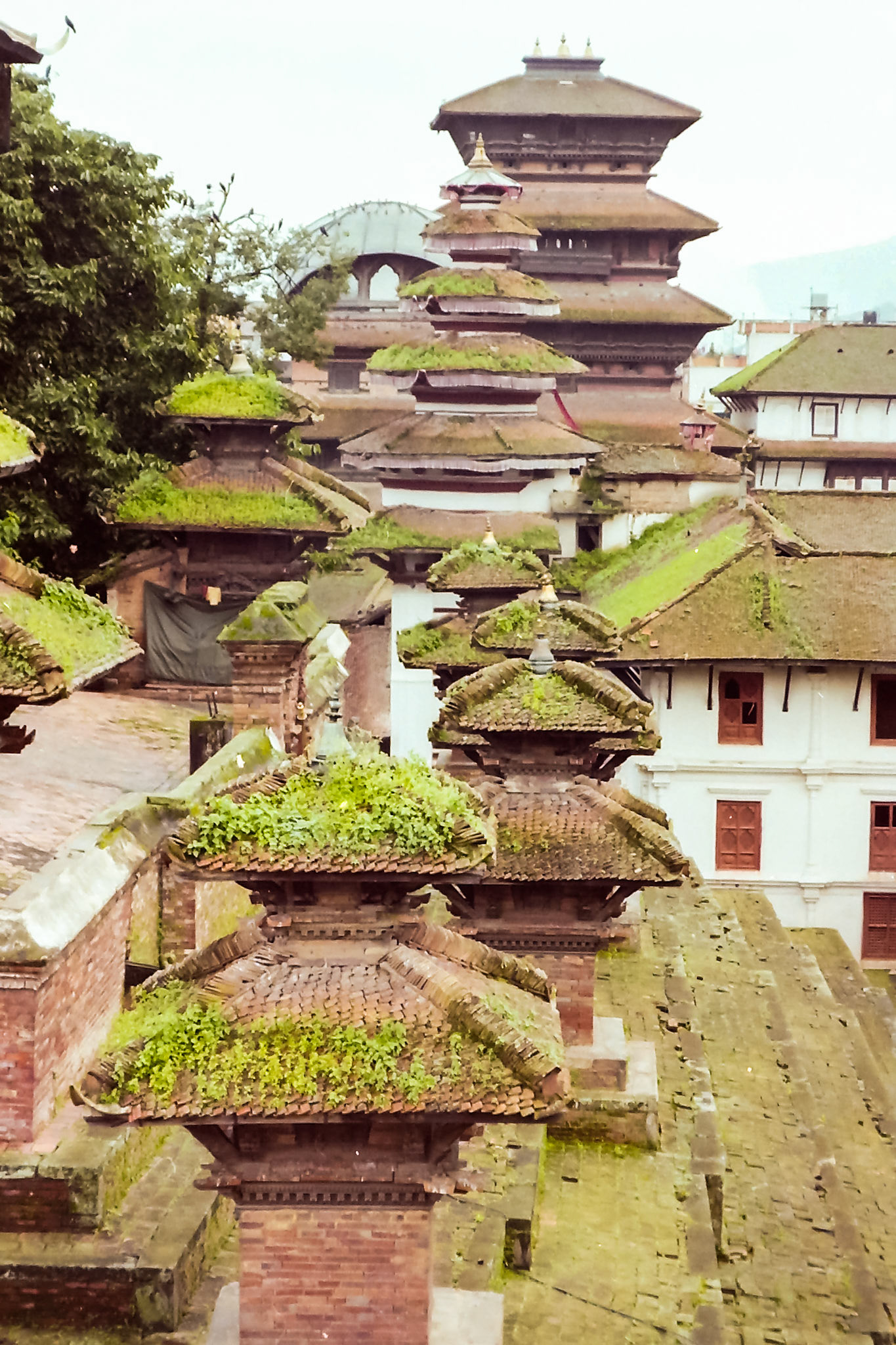 Kathmandu, Bagmati, Nepal [Aug 1998]