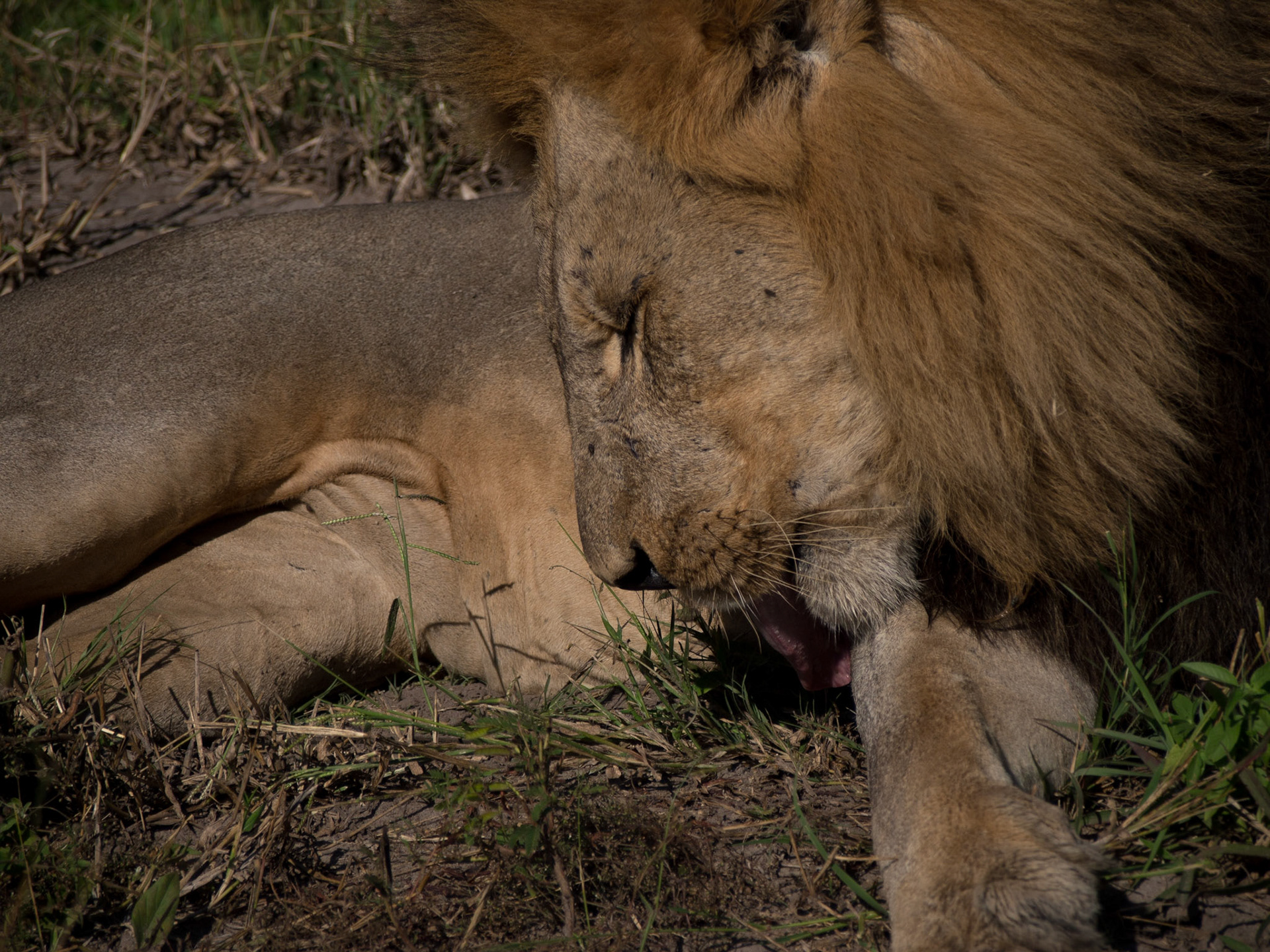 , North West, Botswana [Apr 2014]