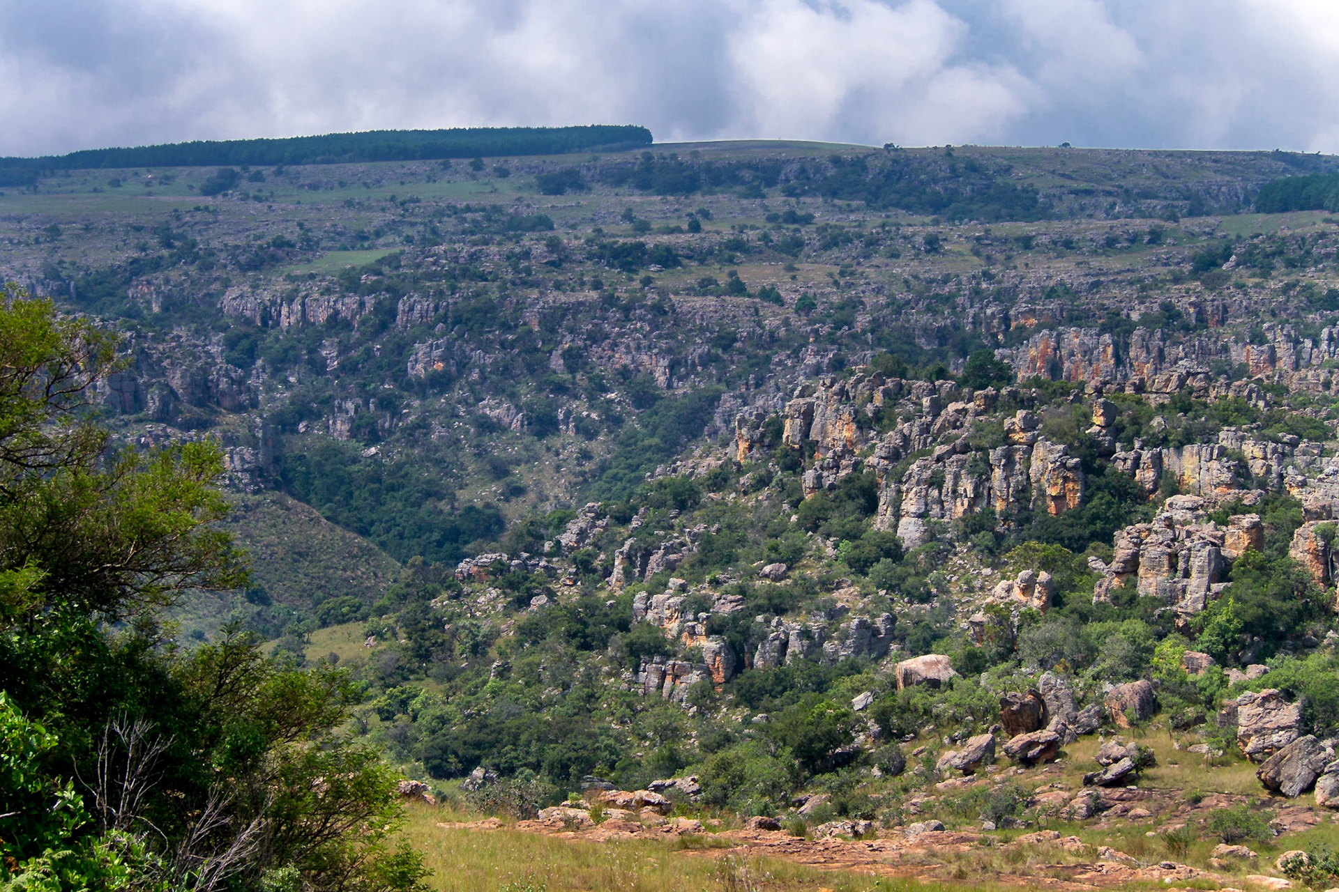 Blyde, Ohrigstad, Limpopo, South Africa [Mar 2016]