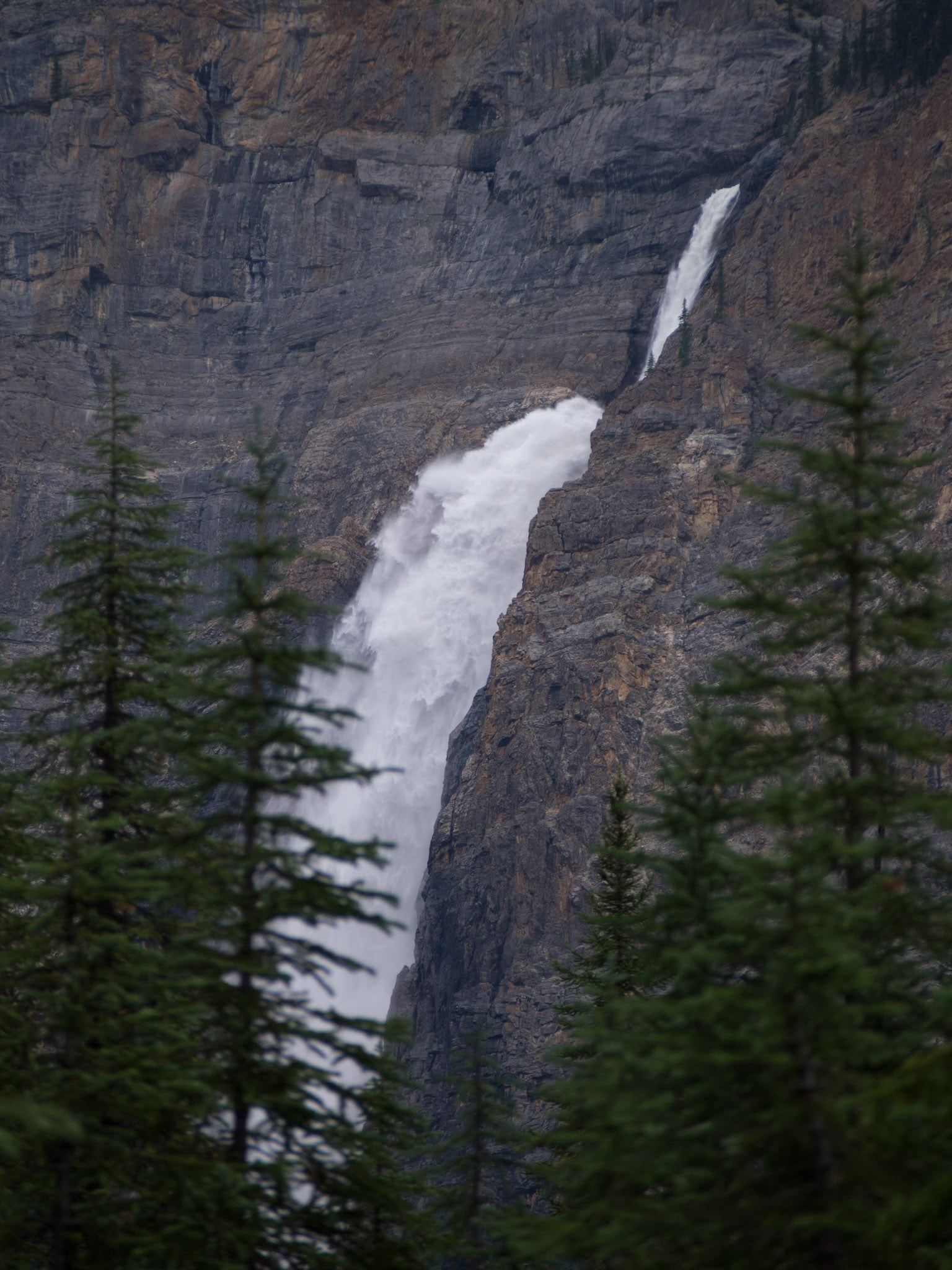 Columbia-Shuswap Regional District, British Columbia, Canada [Aug 2014]