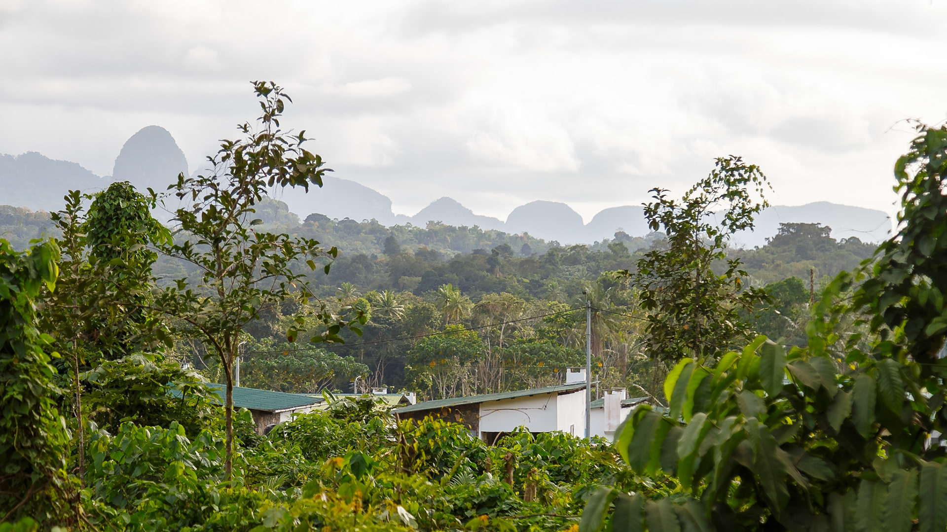 , Pagué, São Tomé and Príncipe [Feb 2026]