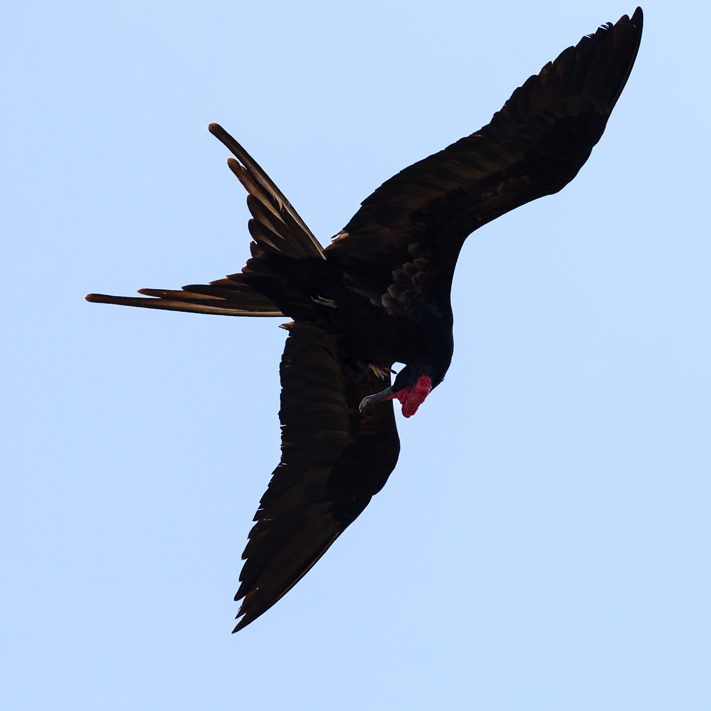 Santa Cruz Canton, Galápagos, Ecuador [Apr 2022]