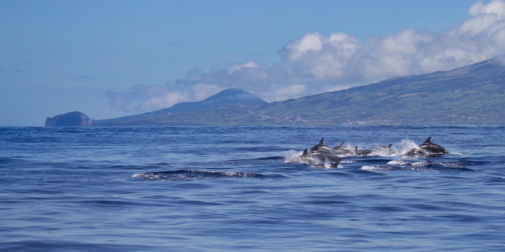 Ilsa de Pico, Azores, Portugal [Aug 2019]